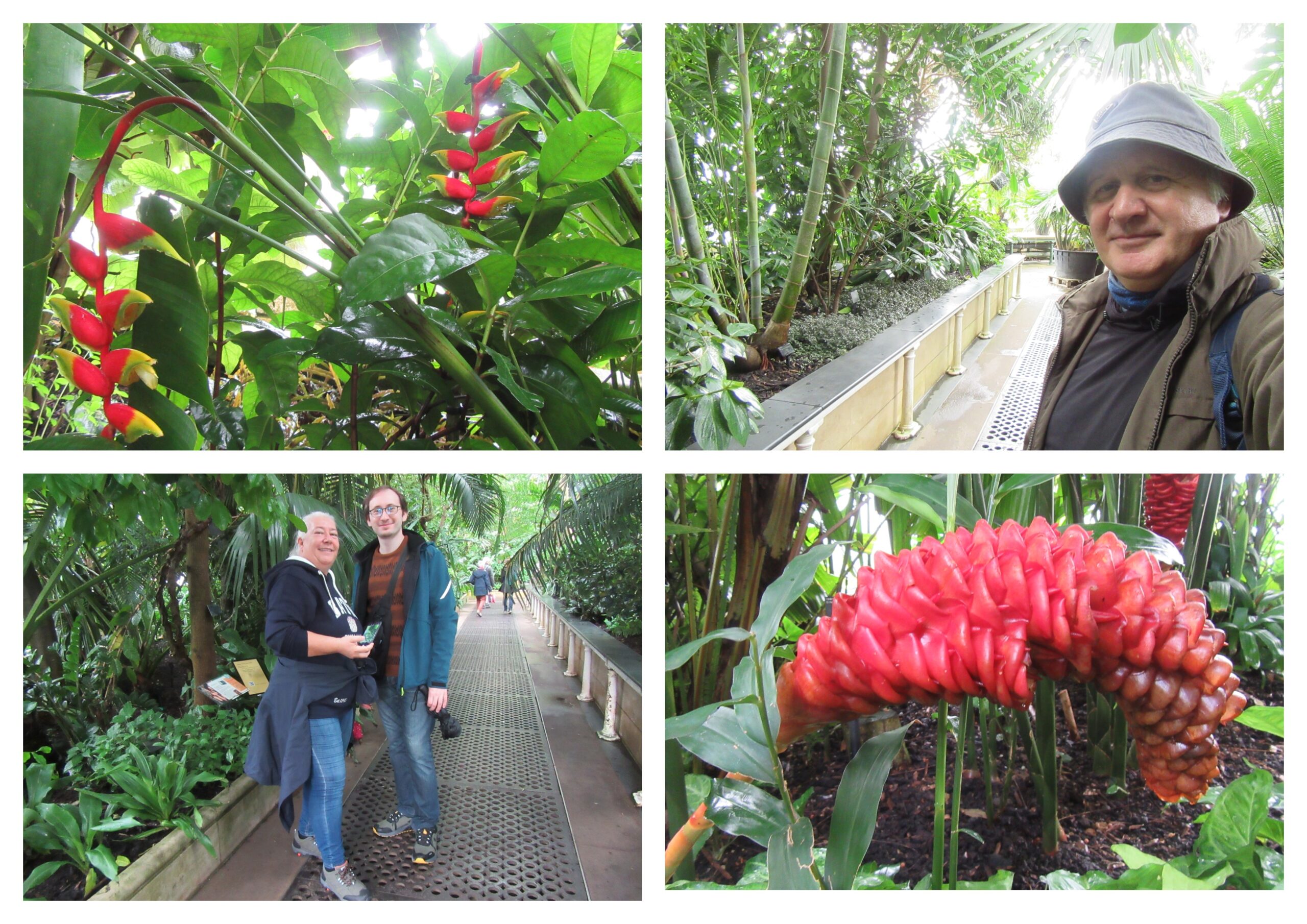 Londra’nın En Ünlü Botanik Bahçesi “Kew Gardens”