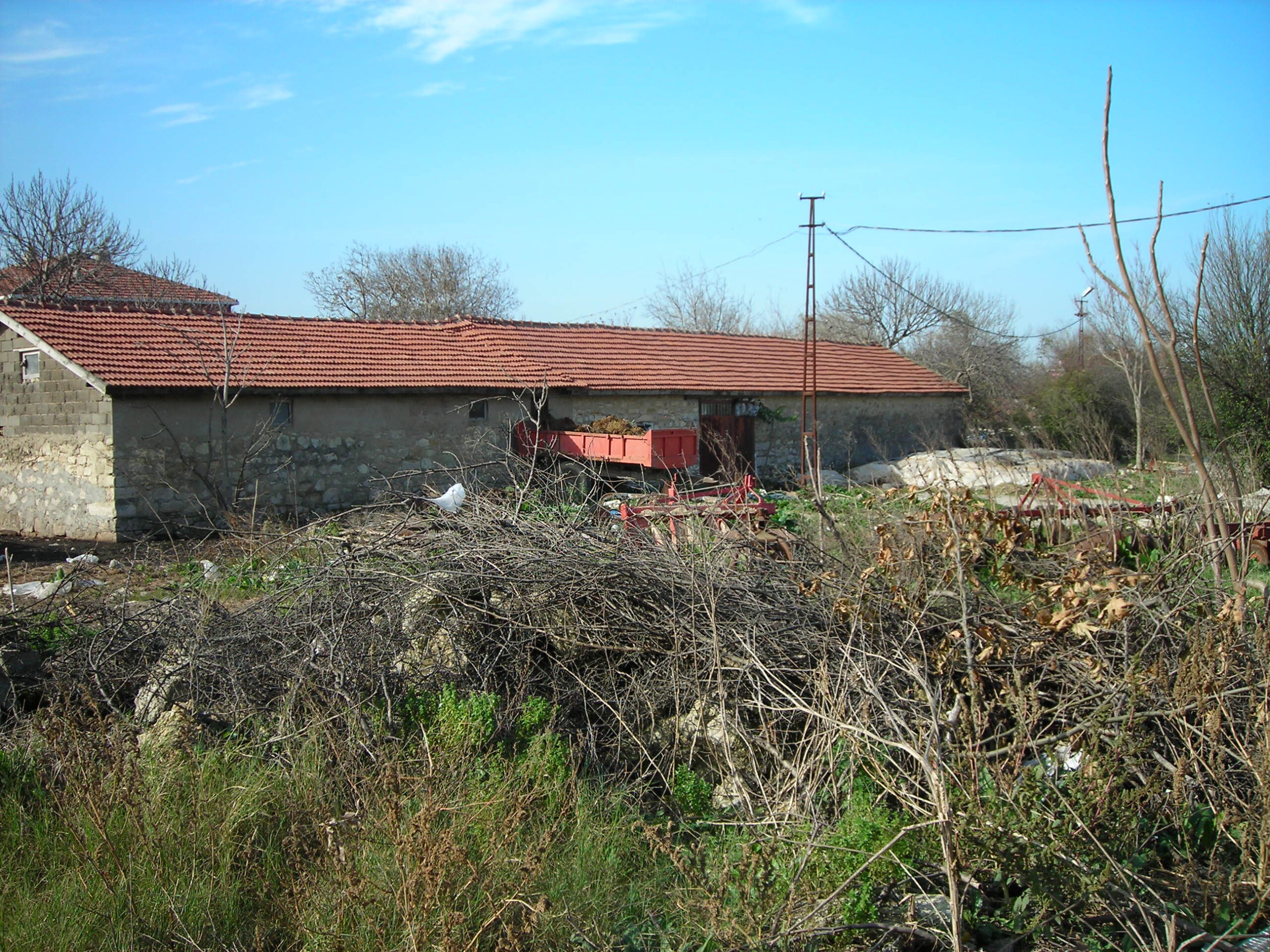 dİZİN “DEVAMI HAYAT” ~ [1945-1962]