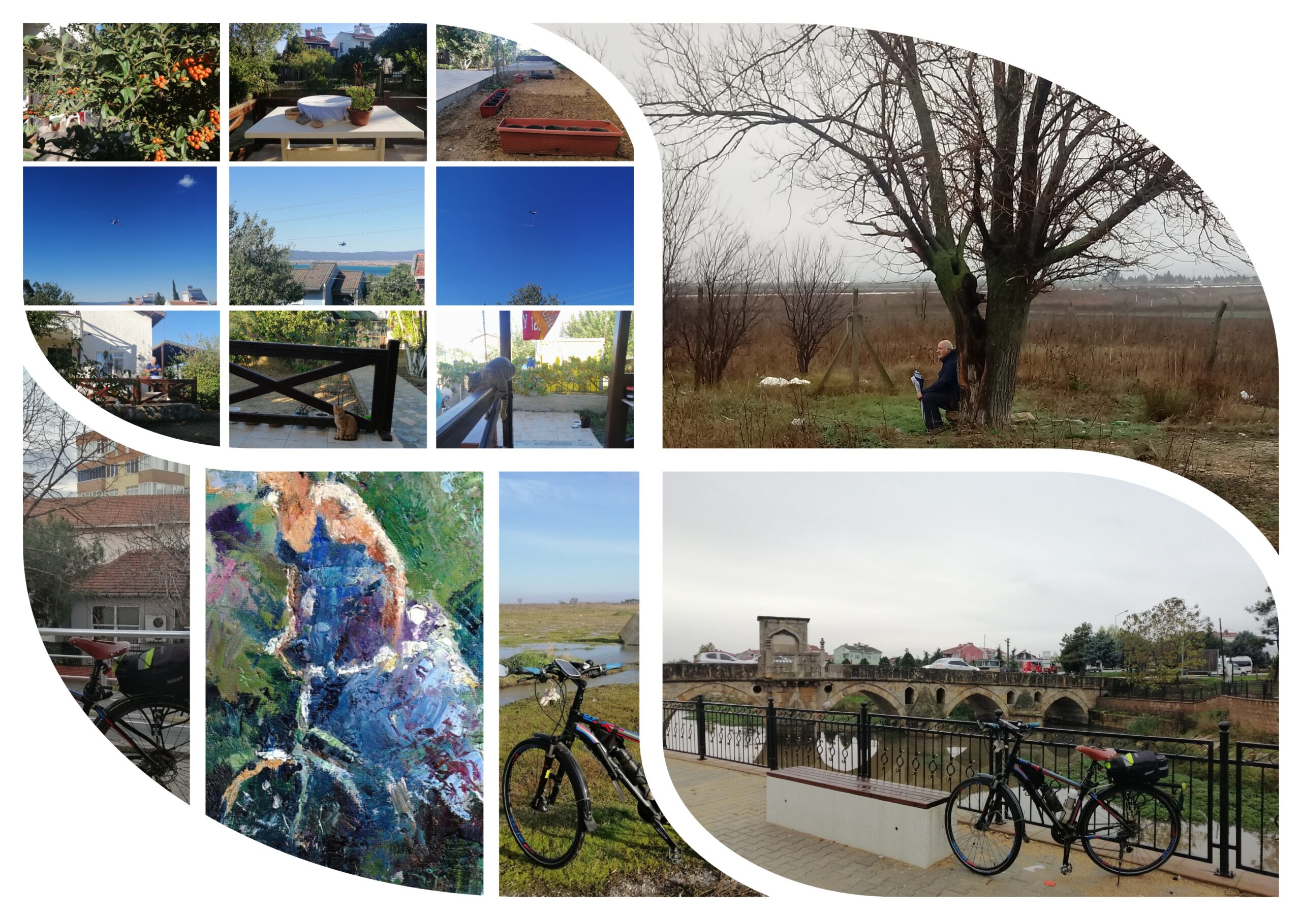 EKİM 2025: AYLIK FİNANSAL RAPOR