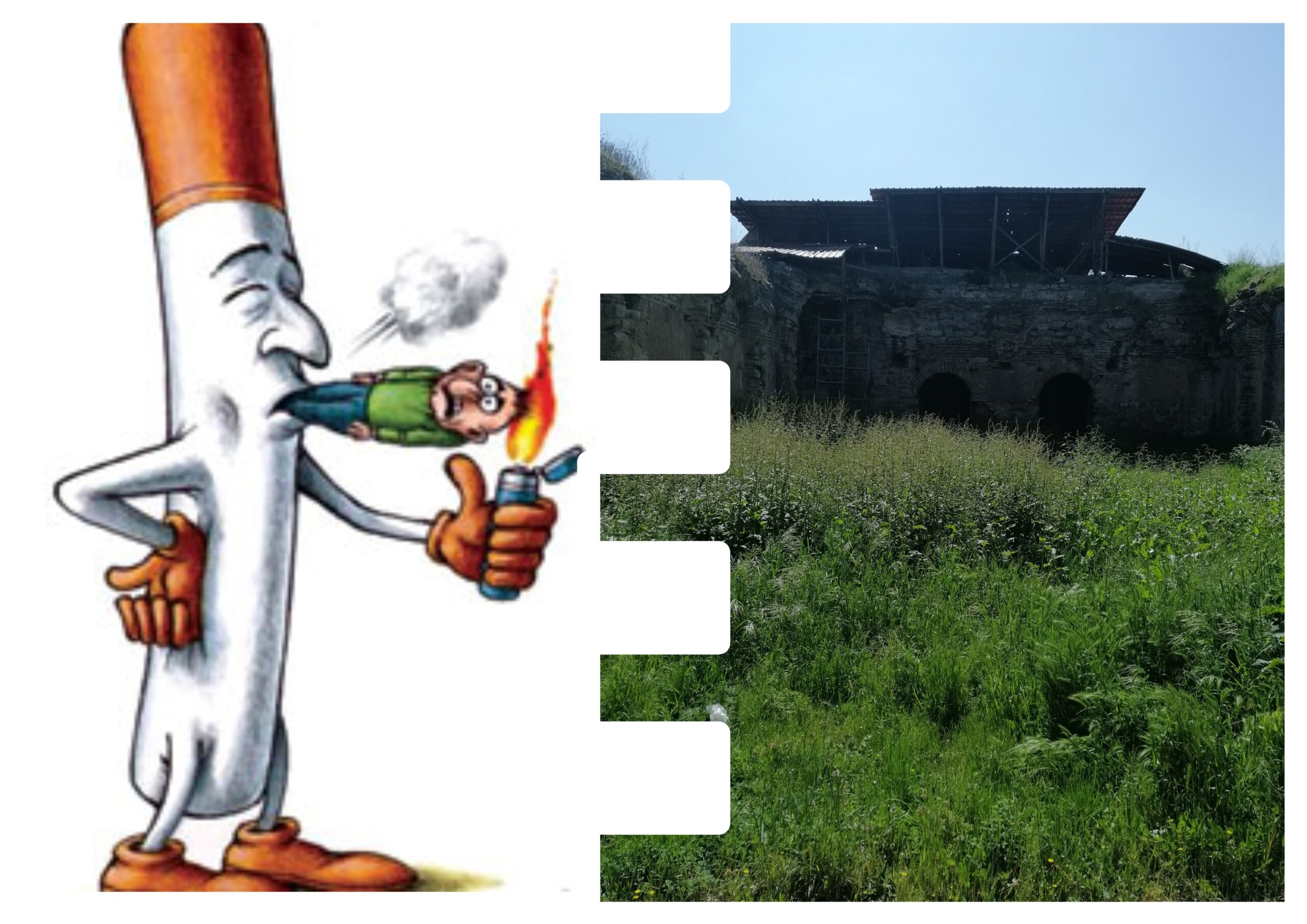 Yedi Yaşımda Zıkkımın Köküyle Tanışıyorum