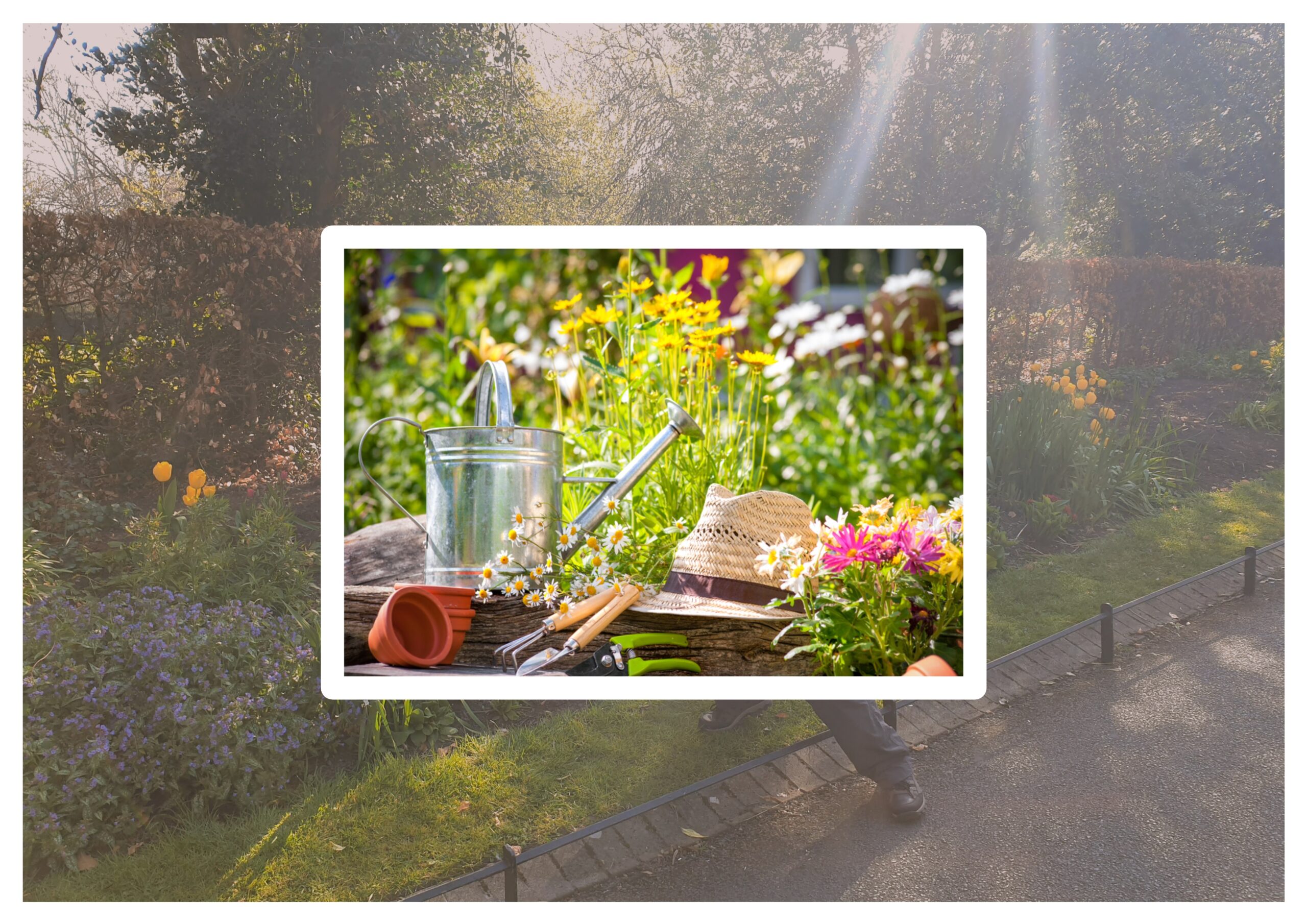 Kocamanların Attığı Düğümü Dişinle Çözemezsin