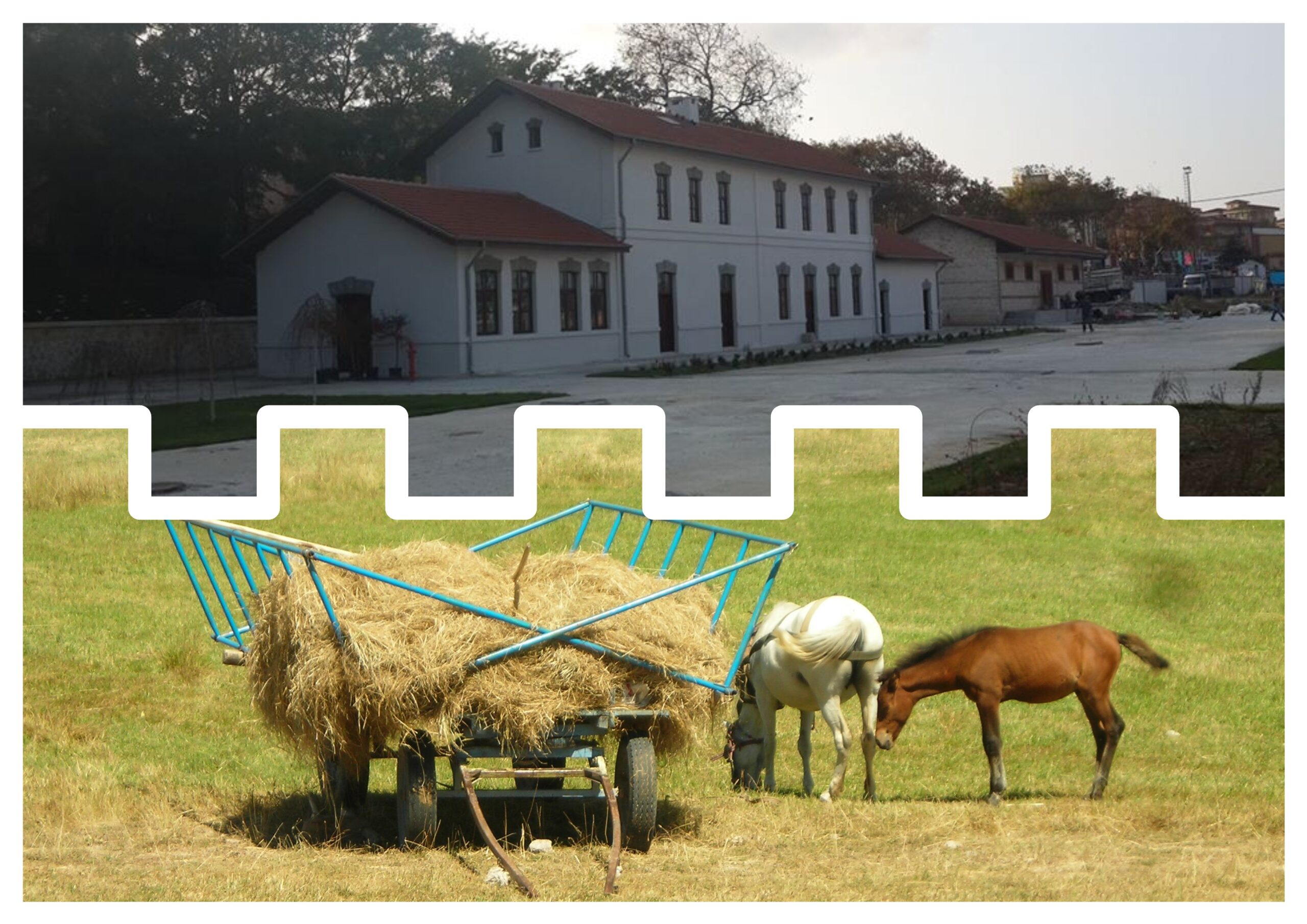 Diğerleri Sahil Köşesi Benimki Kır Köşesi