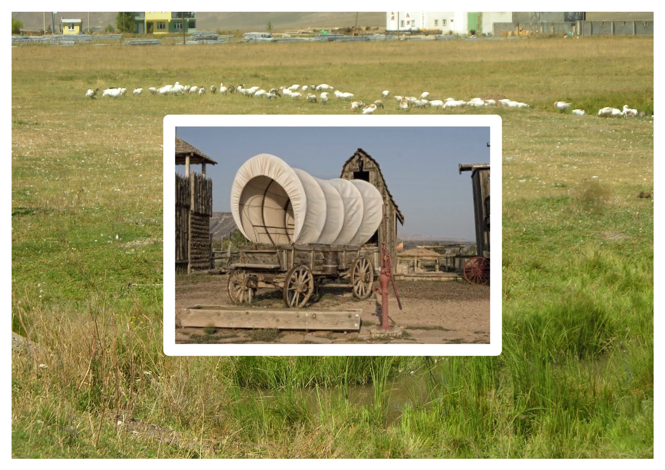 Kilitli Günlük: Şubat 1971