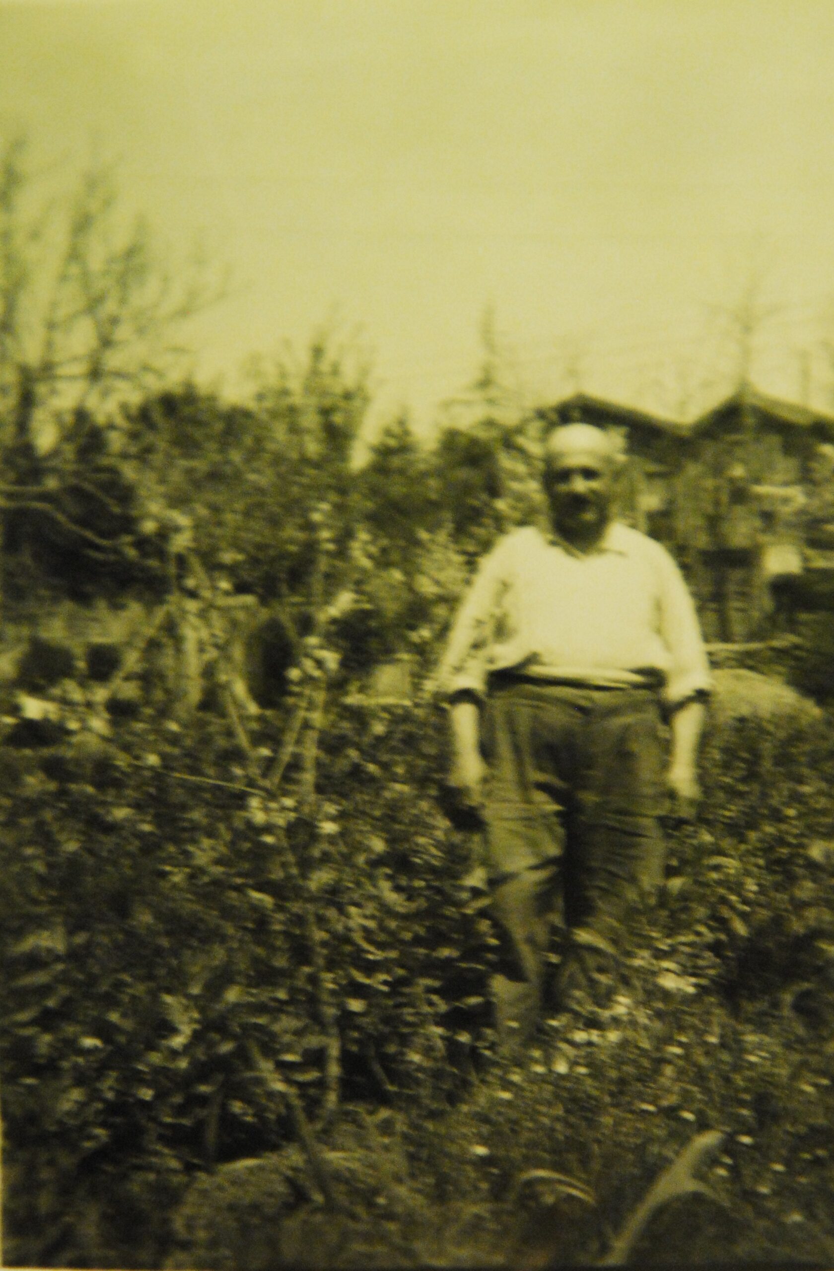 En Gizli Halleri Bile Bastonuyla Yakalar Dedem