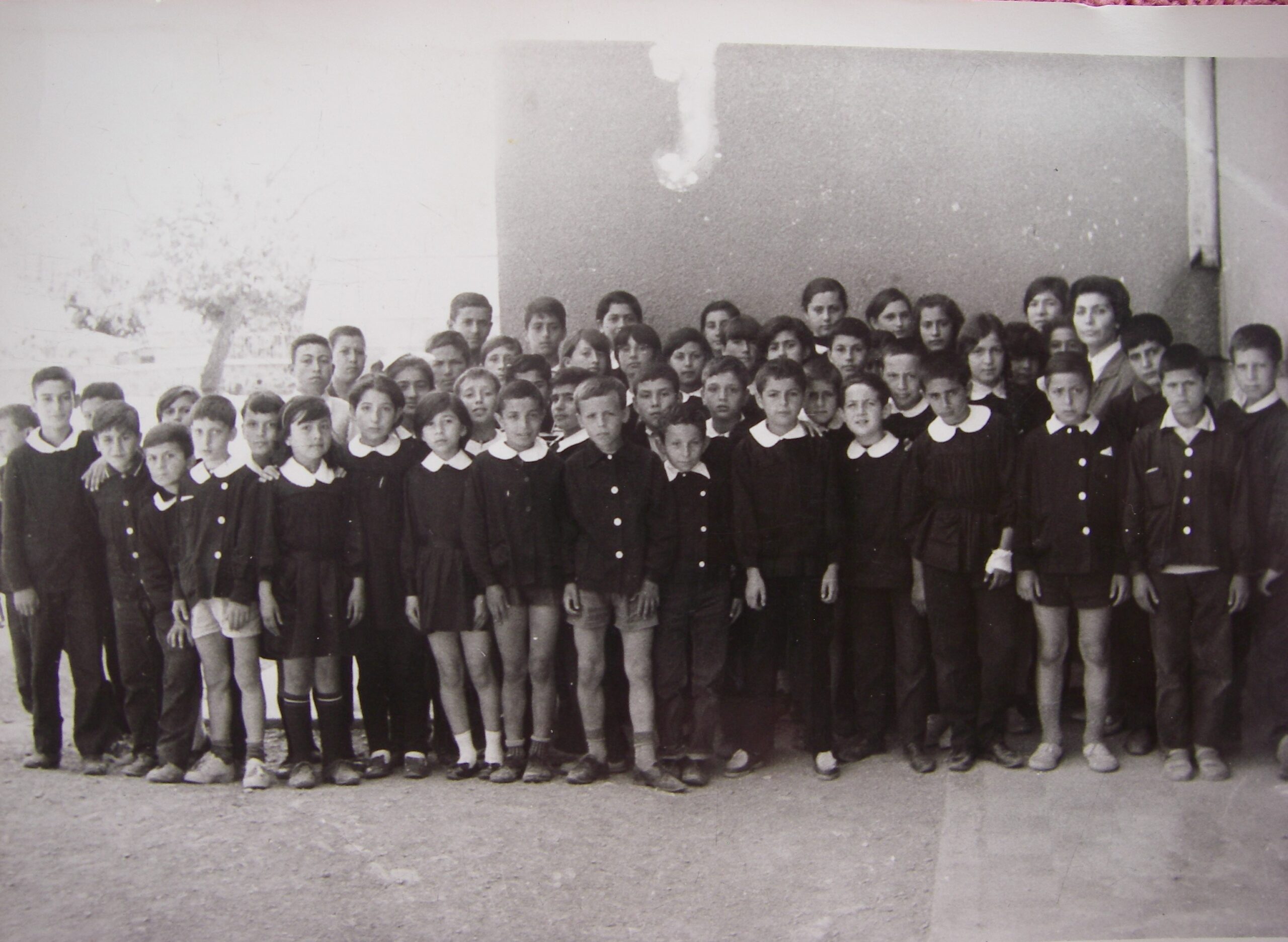 İkinci Tezkere de Pek İyi Canım!