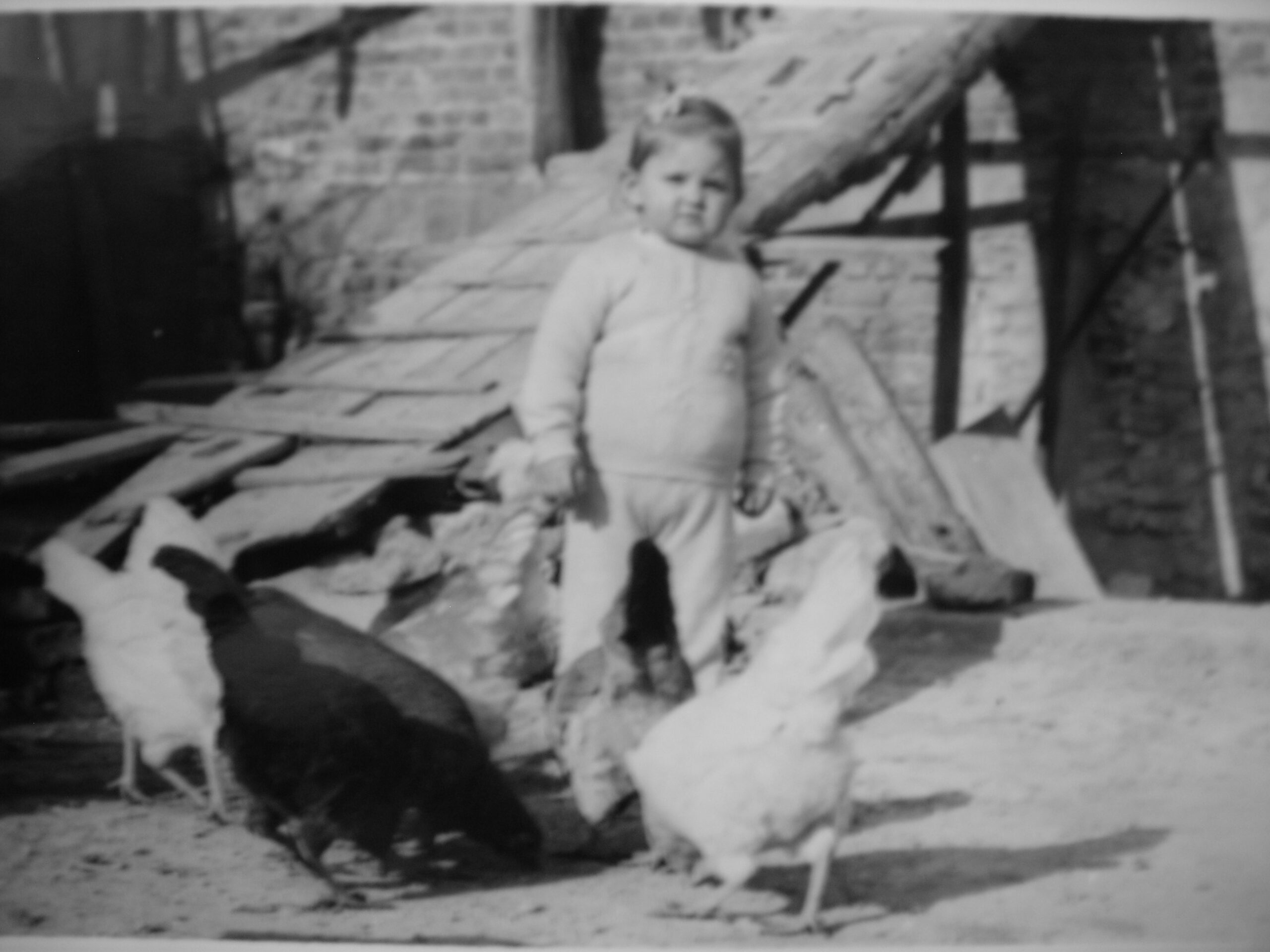 Düştü Düştü Kuzen Düştü