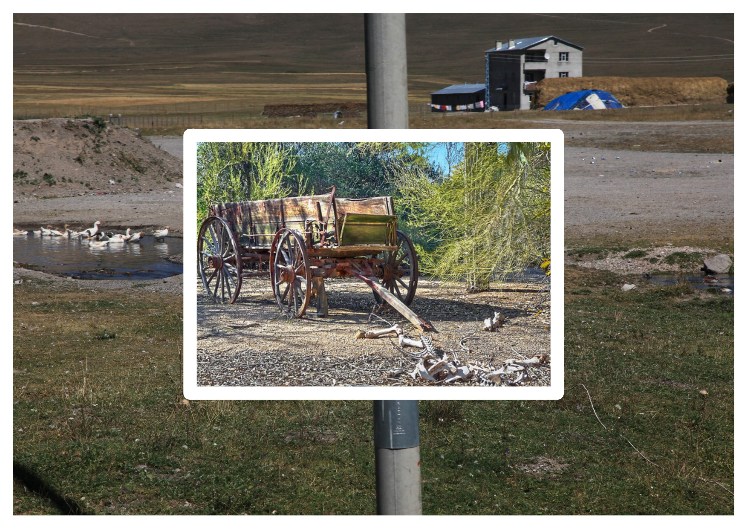 Kilitli Günlük: Ağustos 1971