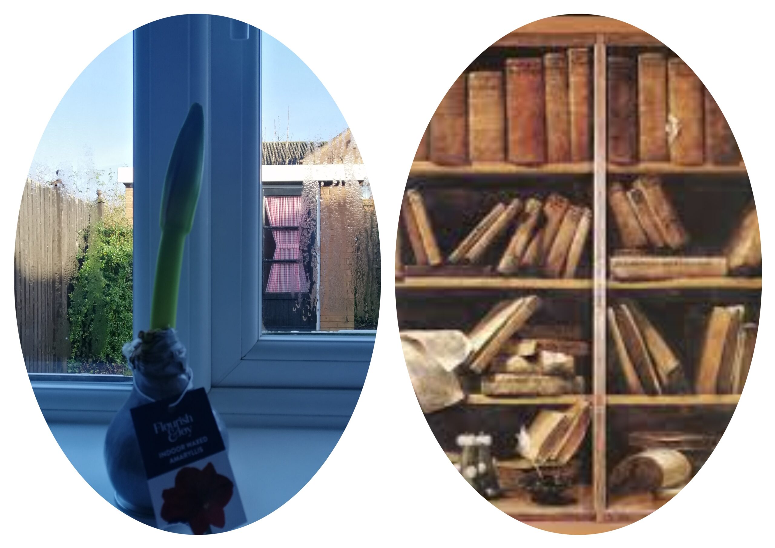 Kilitli Günlük: Eylül 1971