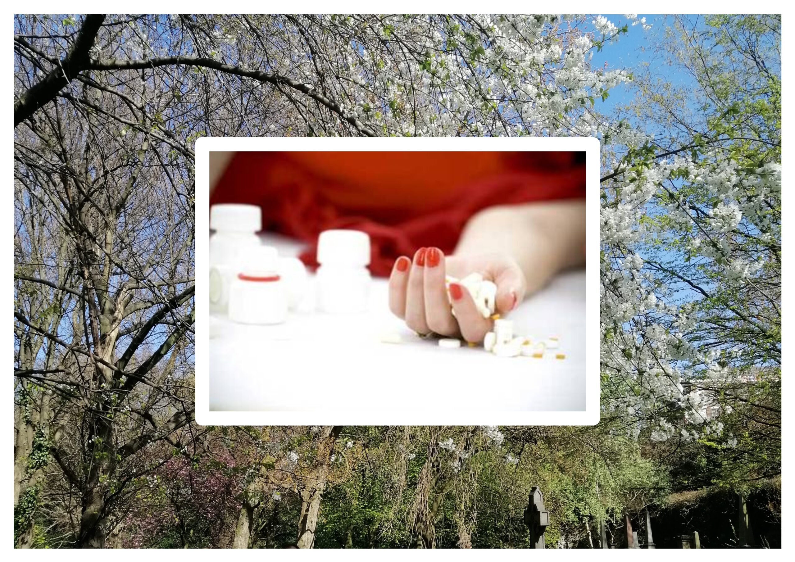 Ölümlü Dünyada Ölümü Gözüne Kestiren Suna Abla