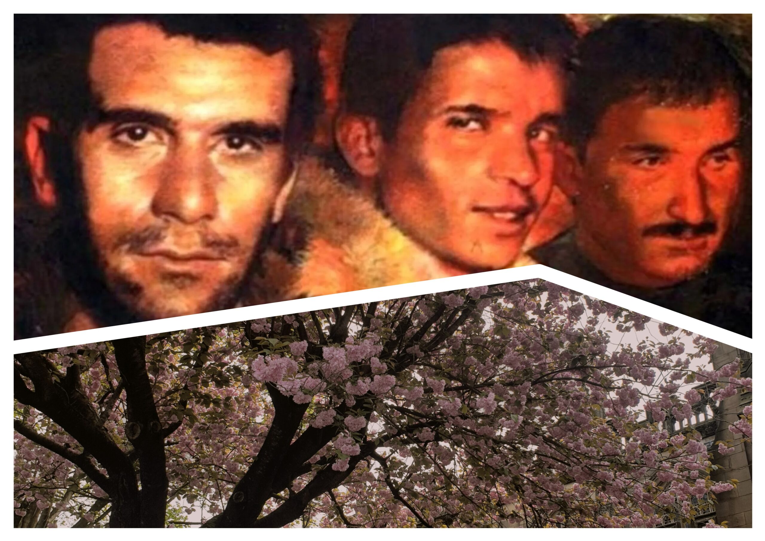 The Turkish Cesur Yürekler