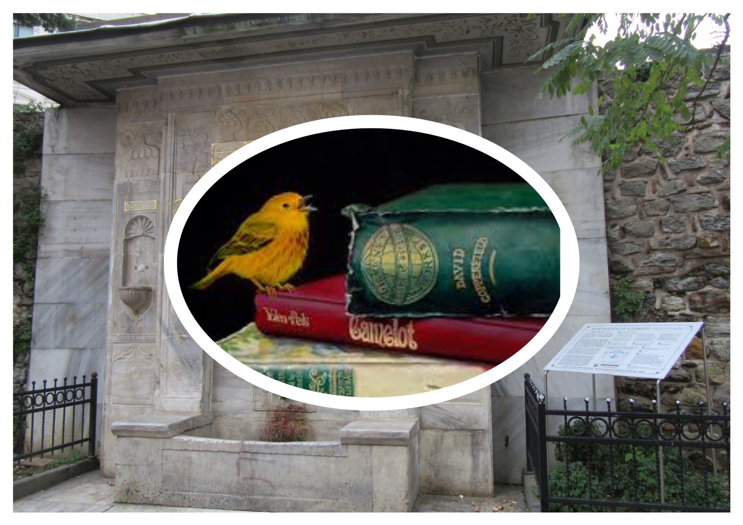 Kilitli Günlük: Mayıs 1972