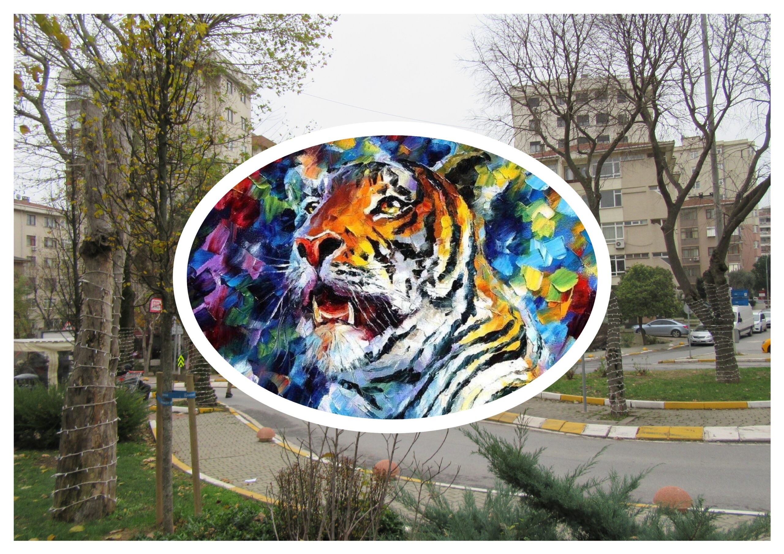 Kedi Erişemediği Ciğere Pis Dermiş