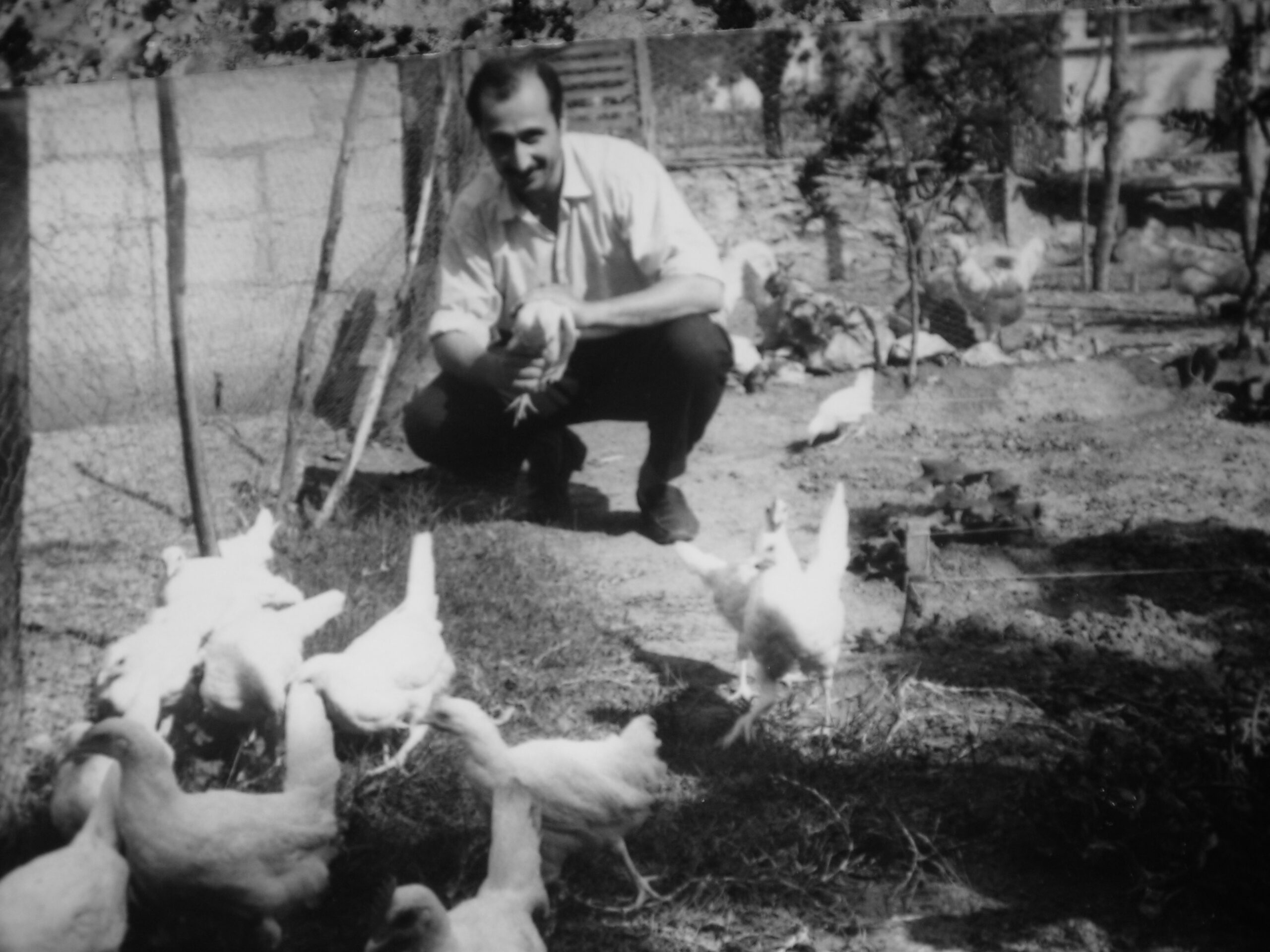 Gıtgıtgıdak Yumurtam Sıcak