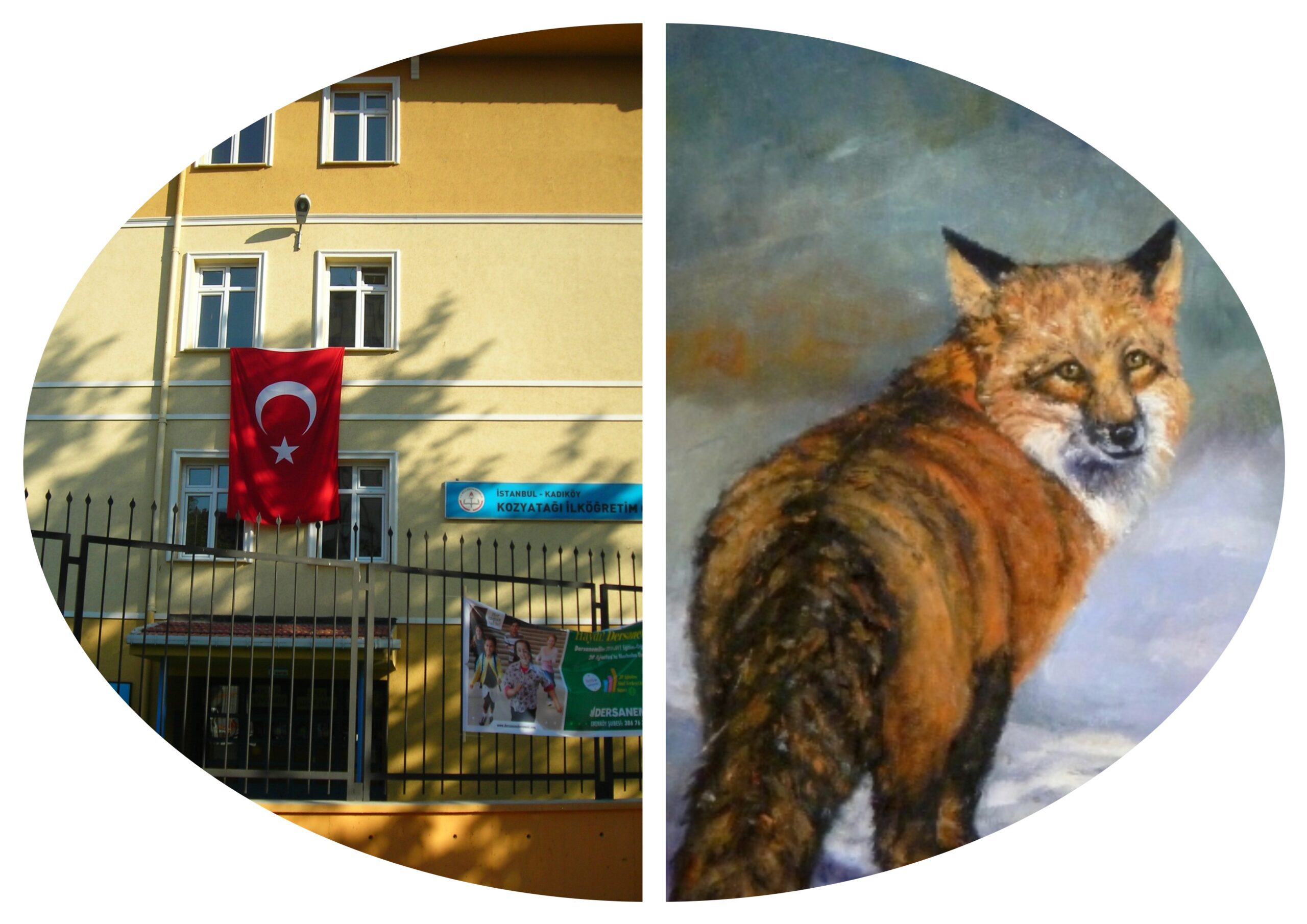 Vardığın Yer Körse Sen de Gözünü Kapa