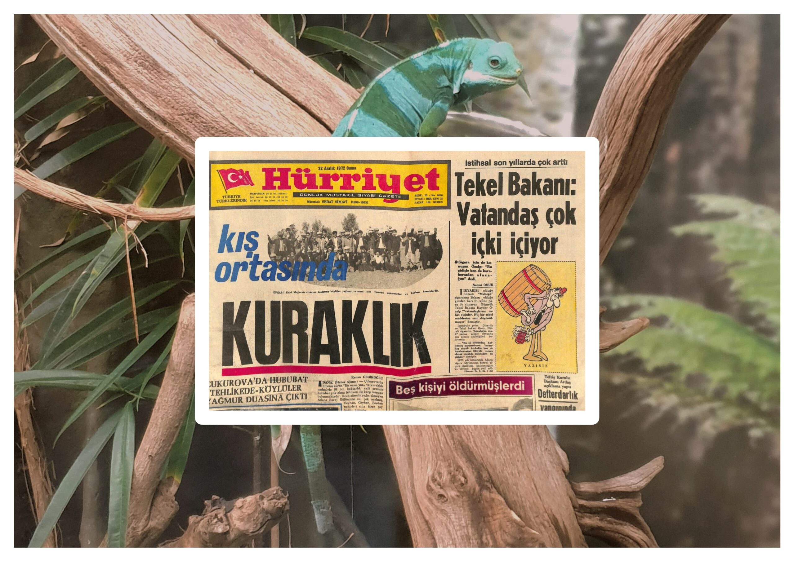 1972 Senesinin Özeti