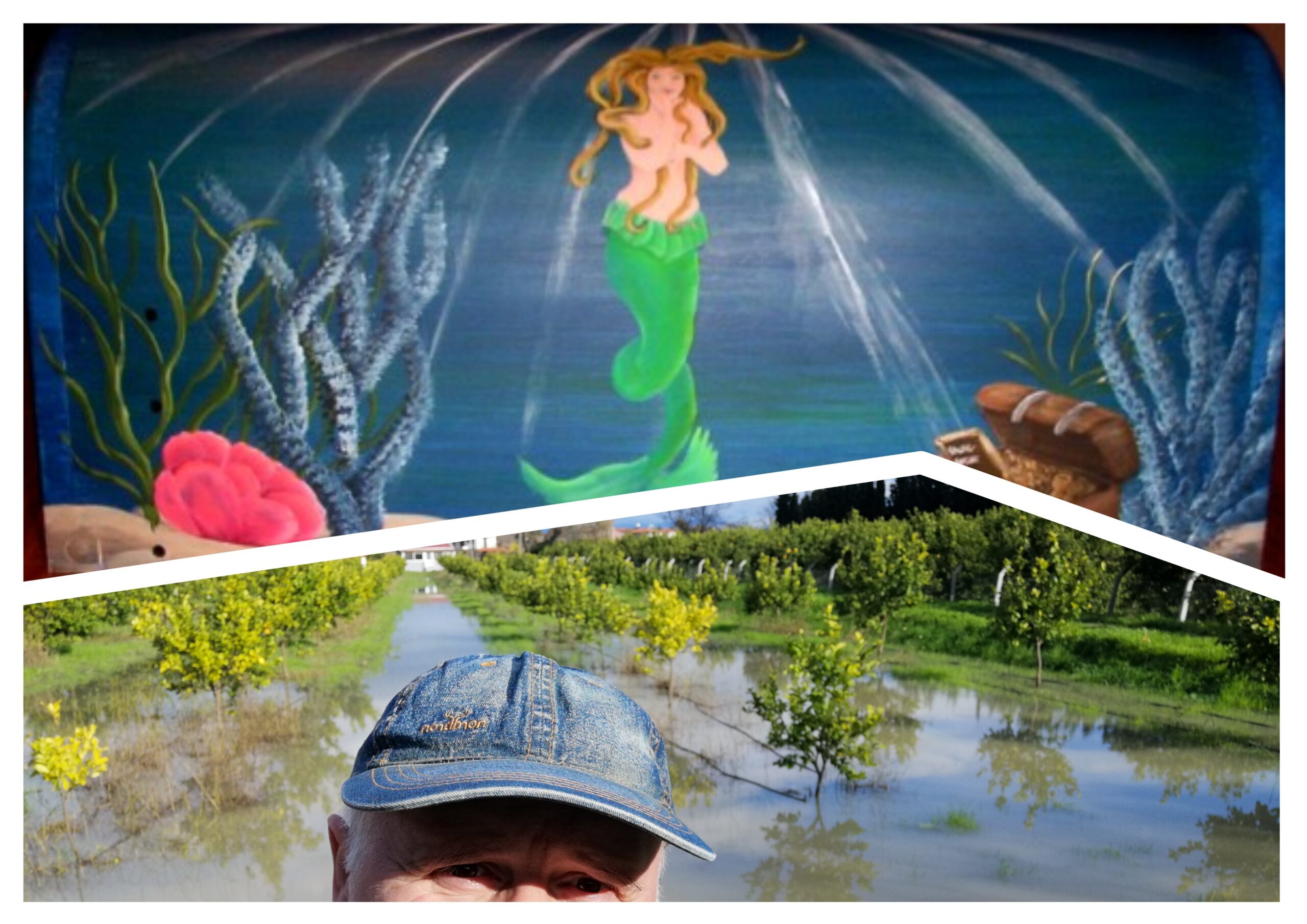 Kilitli Günlük: Ocak 1973