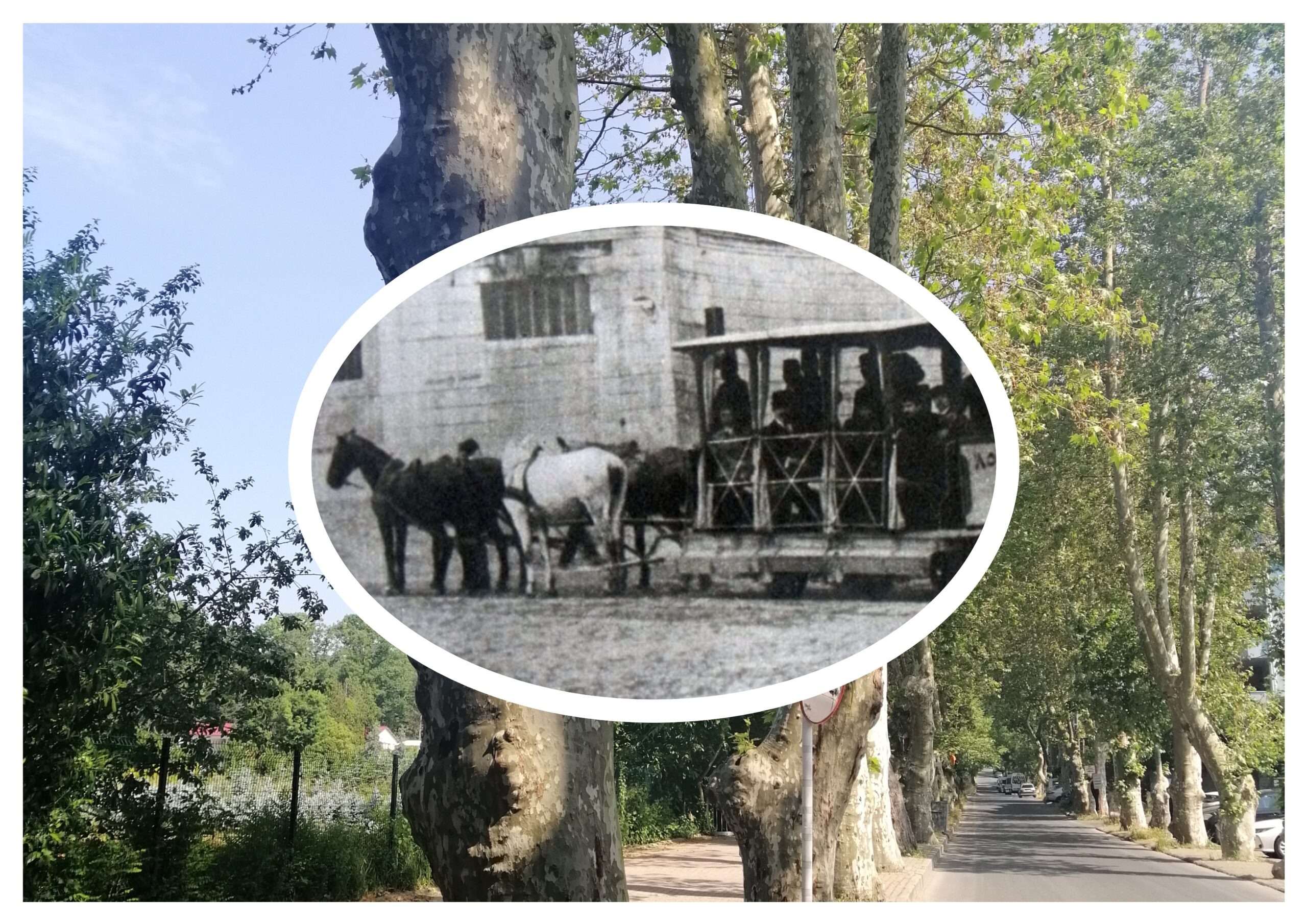 Kilitli Günlük: Ekim 1973