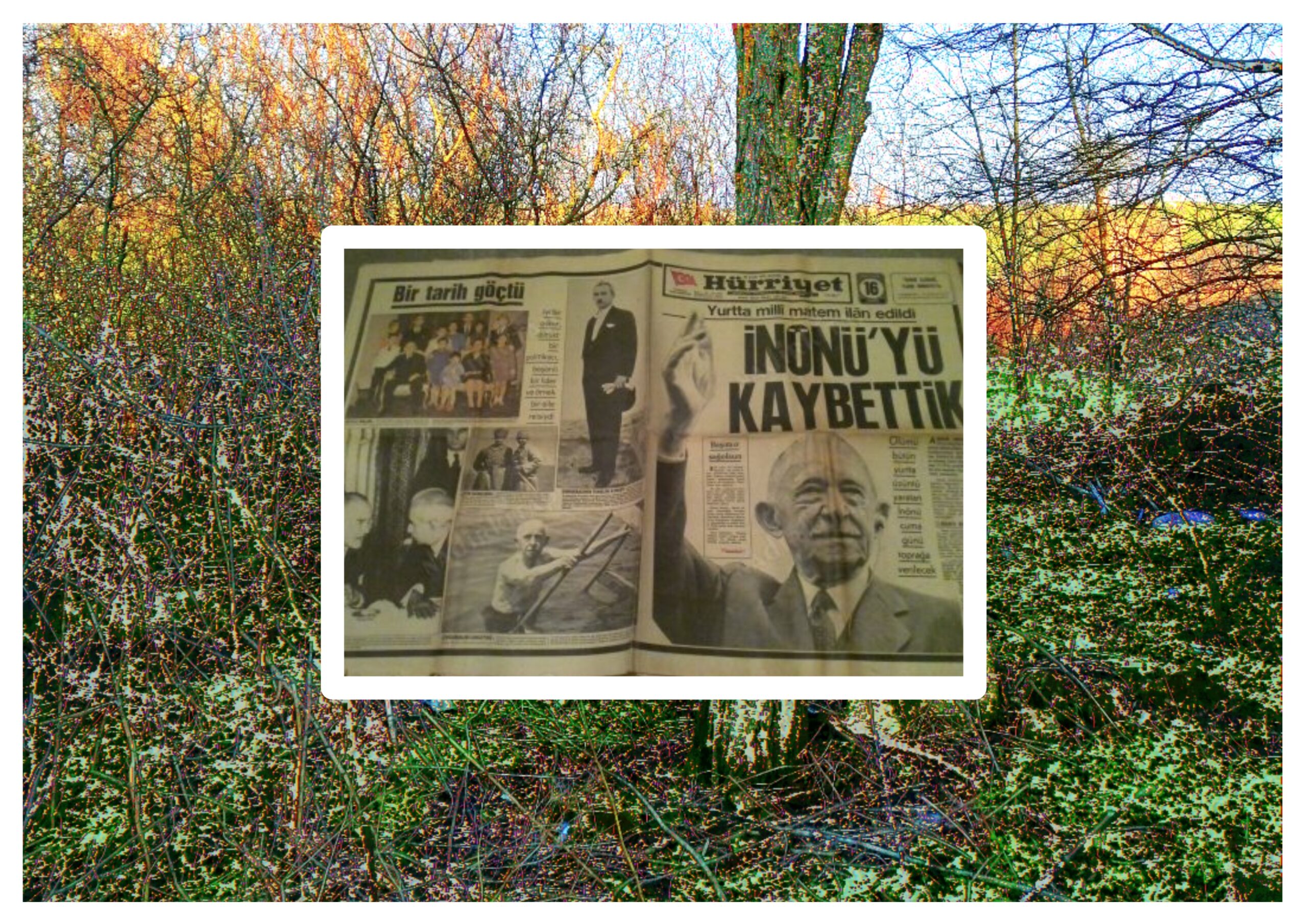 1973 Senesinin Özeti