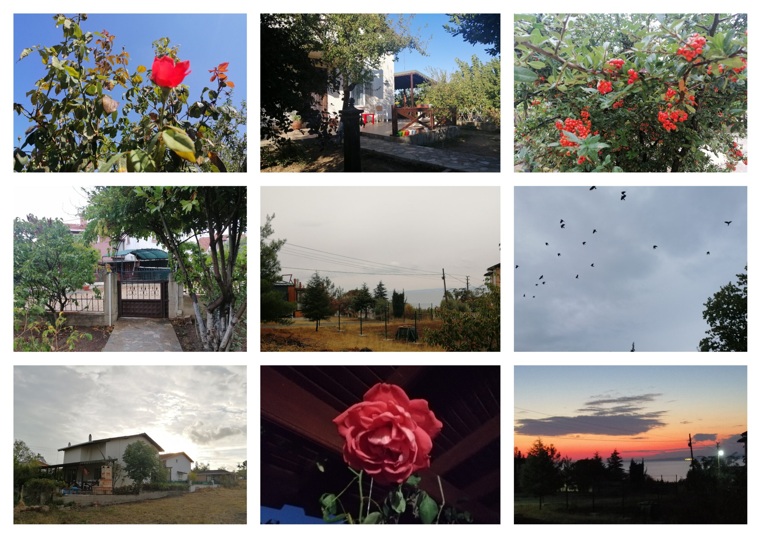 Bilen Var mı ki Tek Başına Saros Gönlü Nedir, Nasıldır?