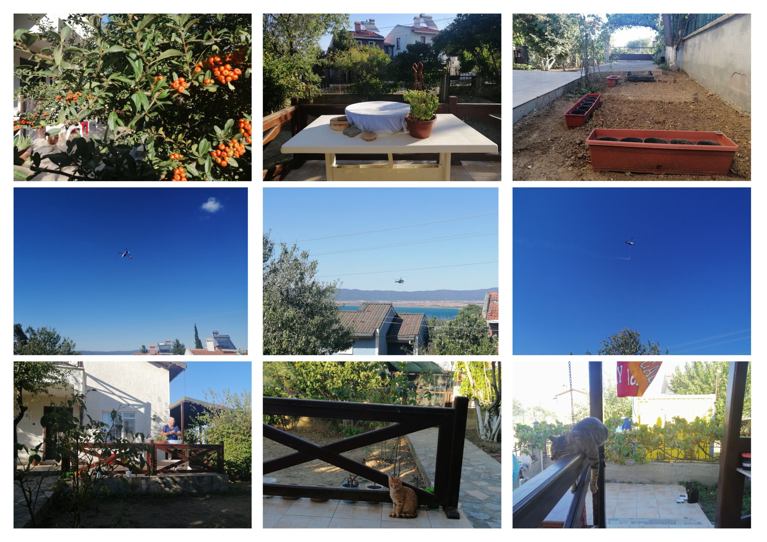 Nasıl Geçti Habersiz O Ateşli Yaz Gülleri