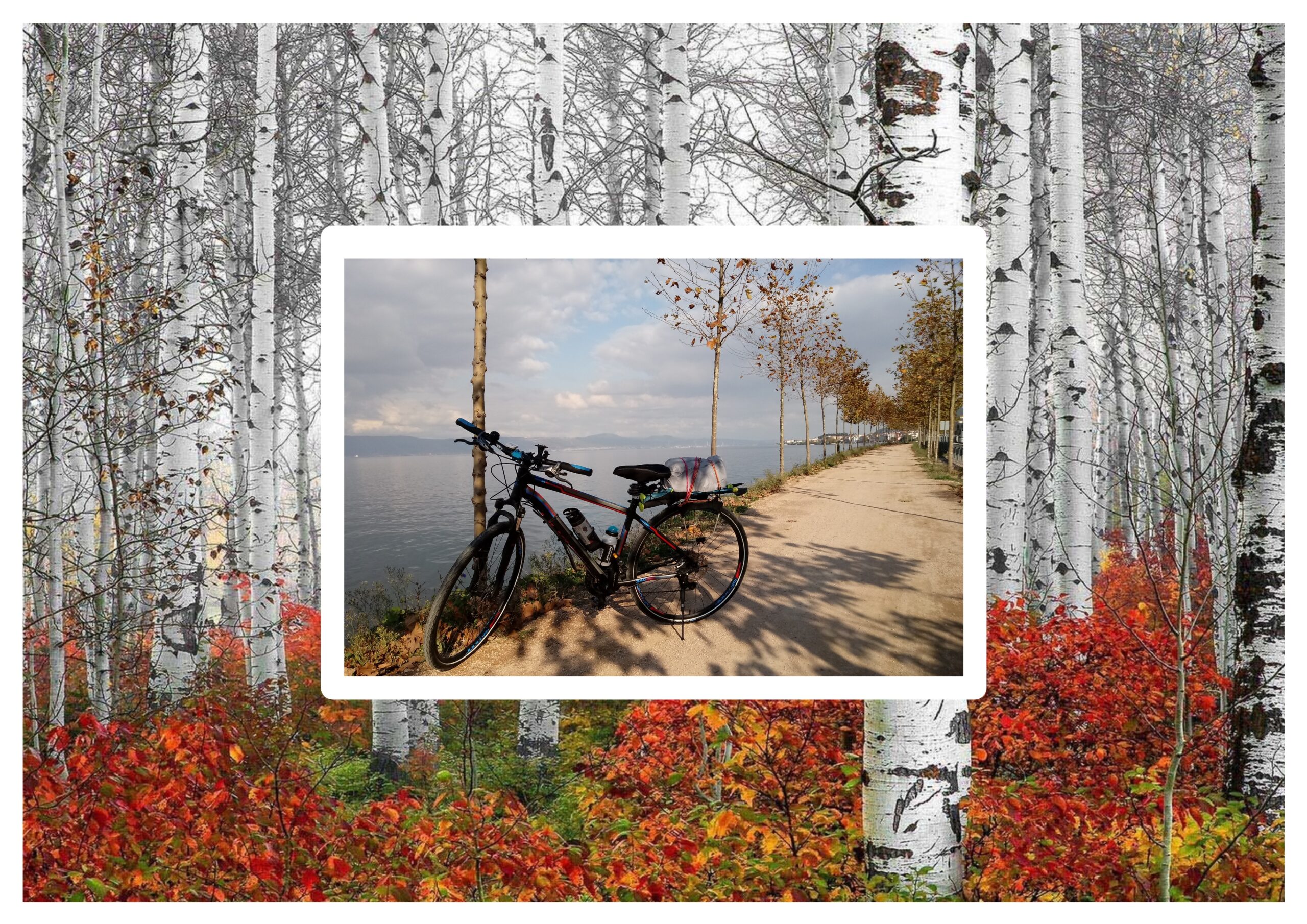 Velosipet ile Huş Gözlü Bir Coğrafya