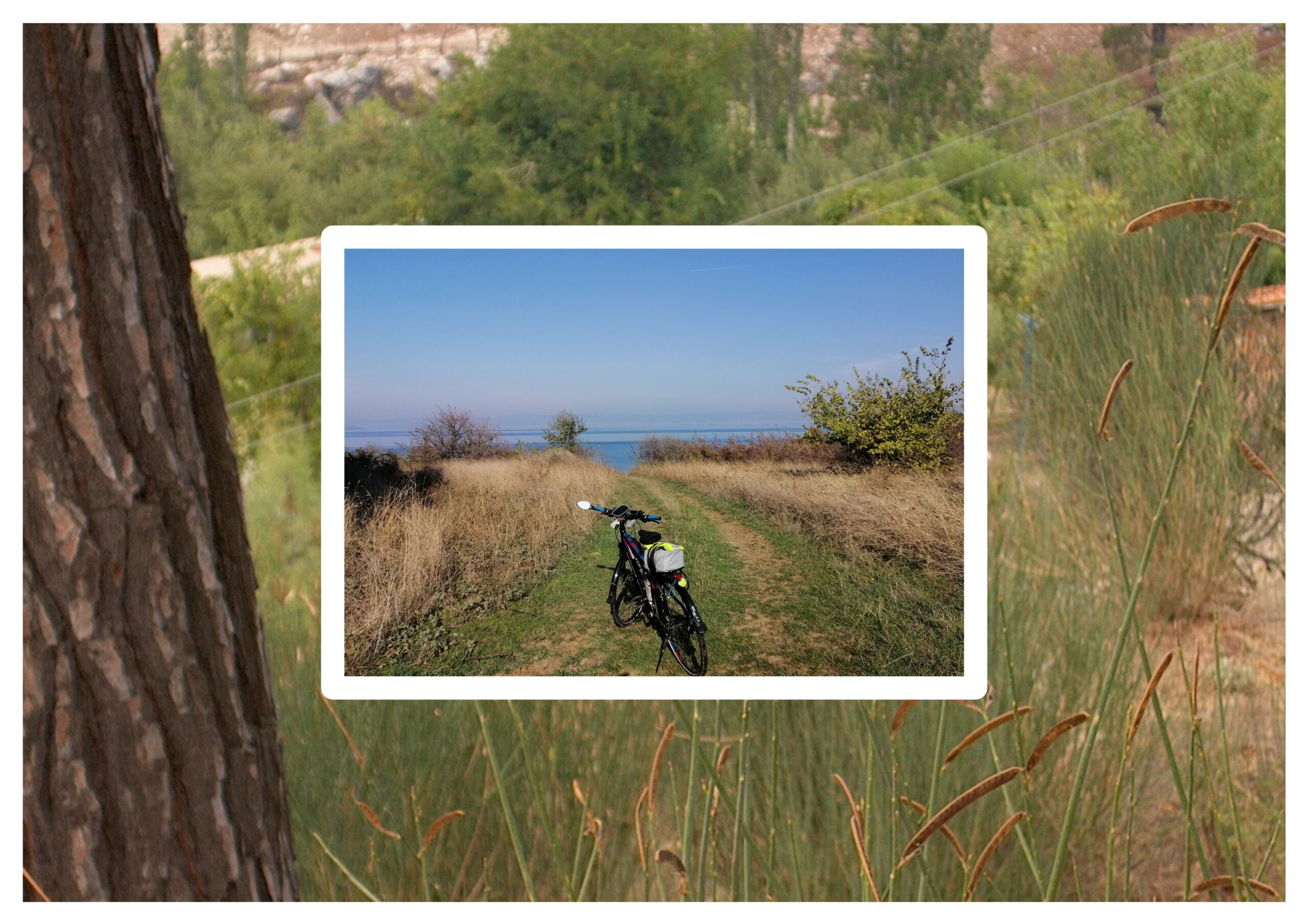Her Şey Her Zaman İyi Sonuçlanacak Diye Bir Şey Yok