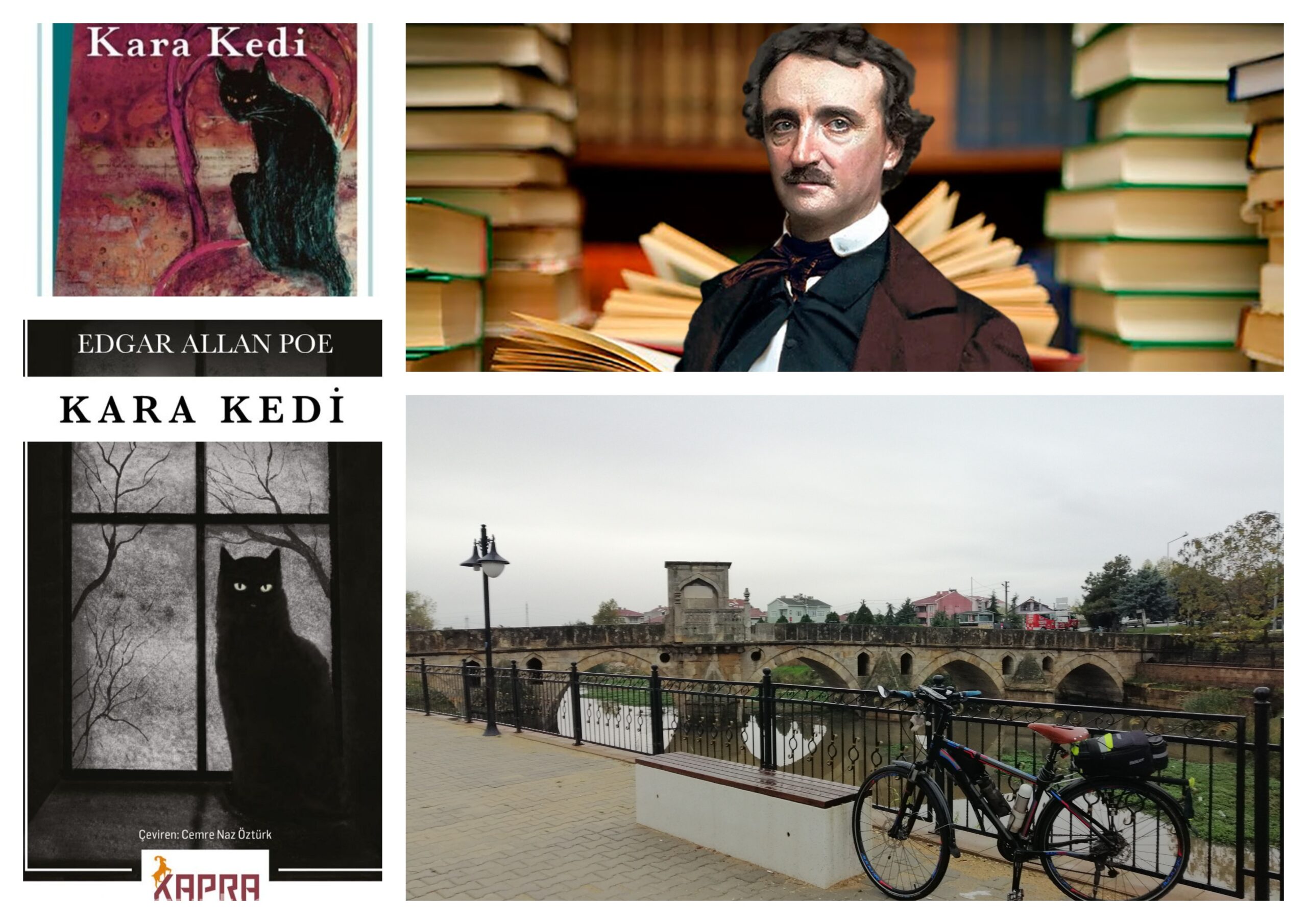 🚲&📖 Edgar Allan Poe “Kara Kedi”