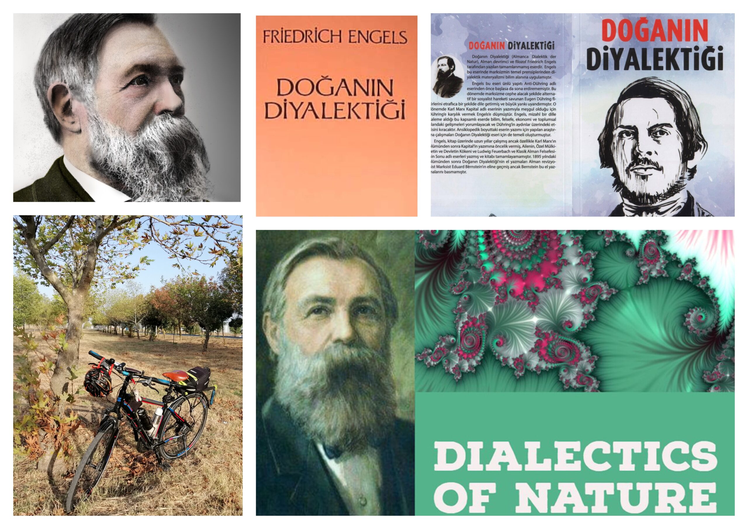 🚲&📖 Friedrich Engels “Doğanın Diyalektiği”