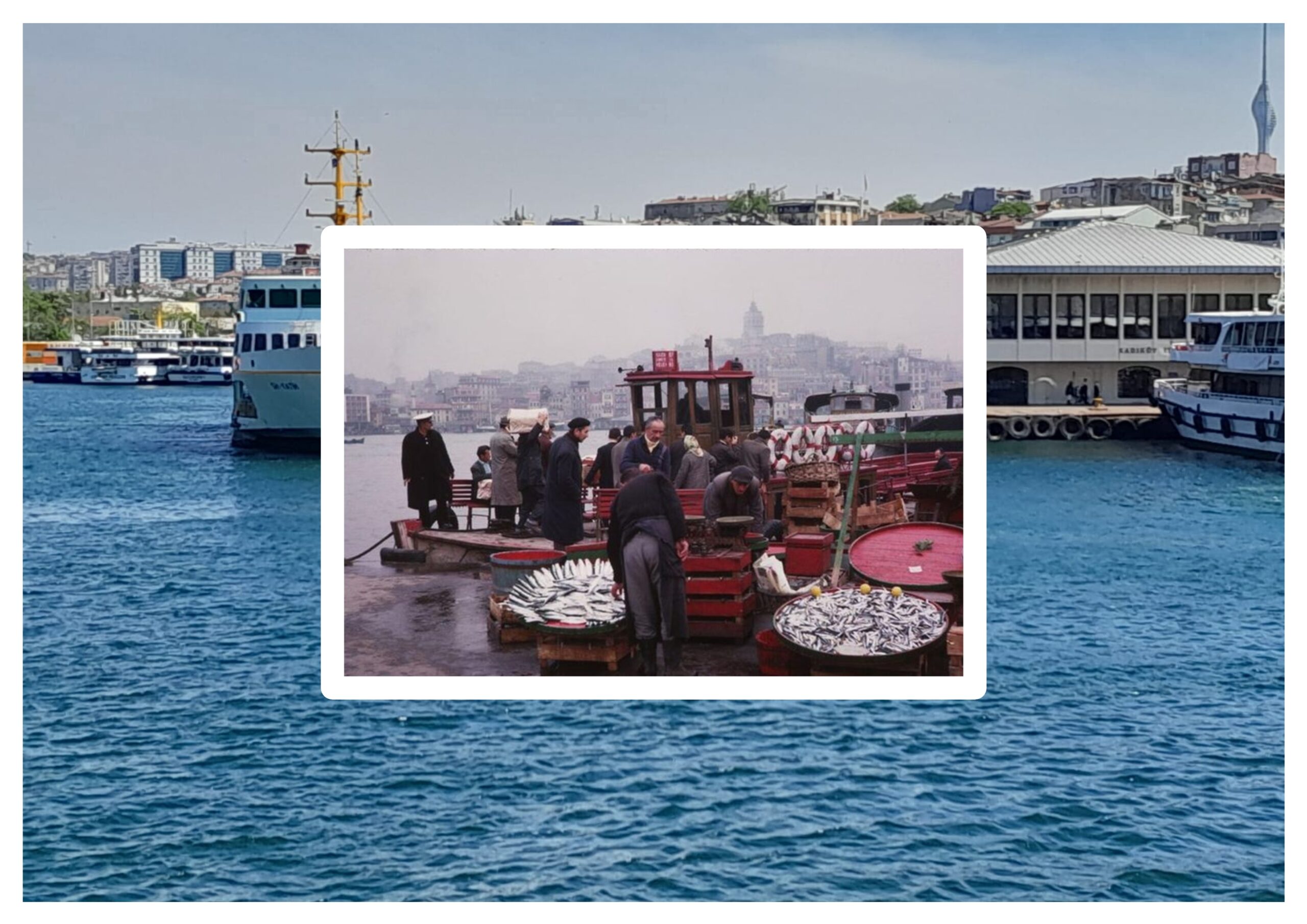 dİZİN “DEVAMI HAYAT” ~ [1972]