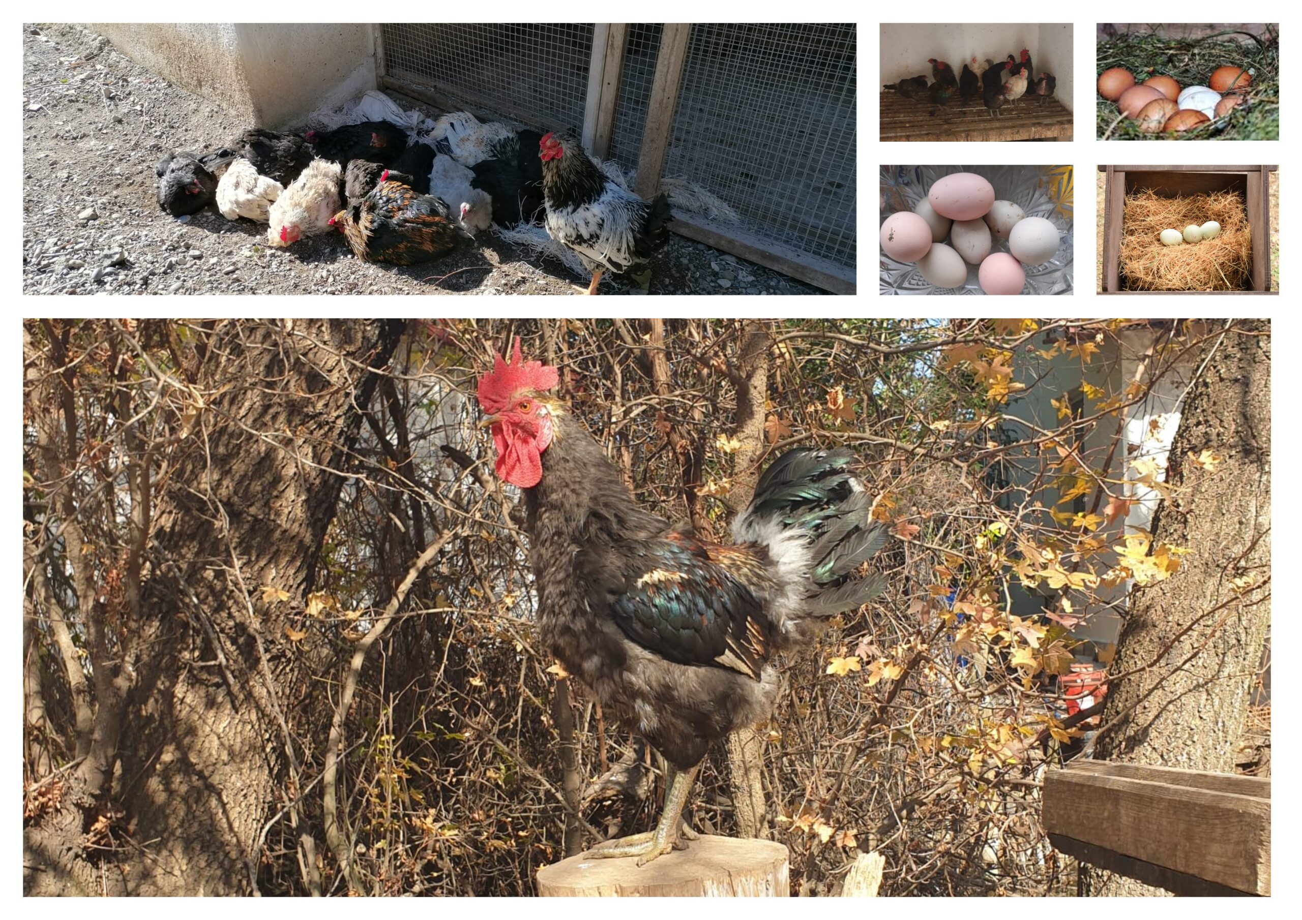 dİZİN “ESNAF ÇEŞNİSİ” ~ [1971-1976]