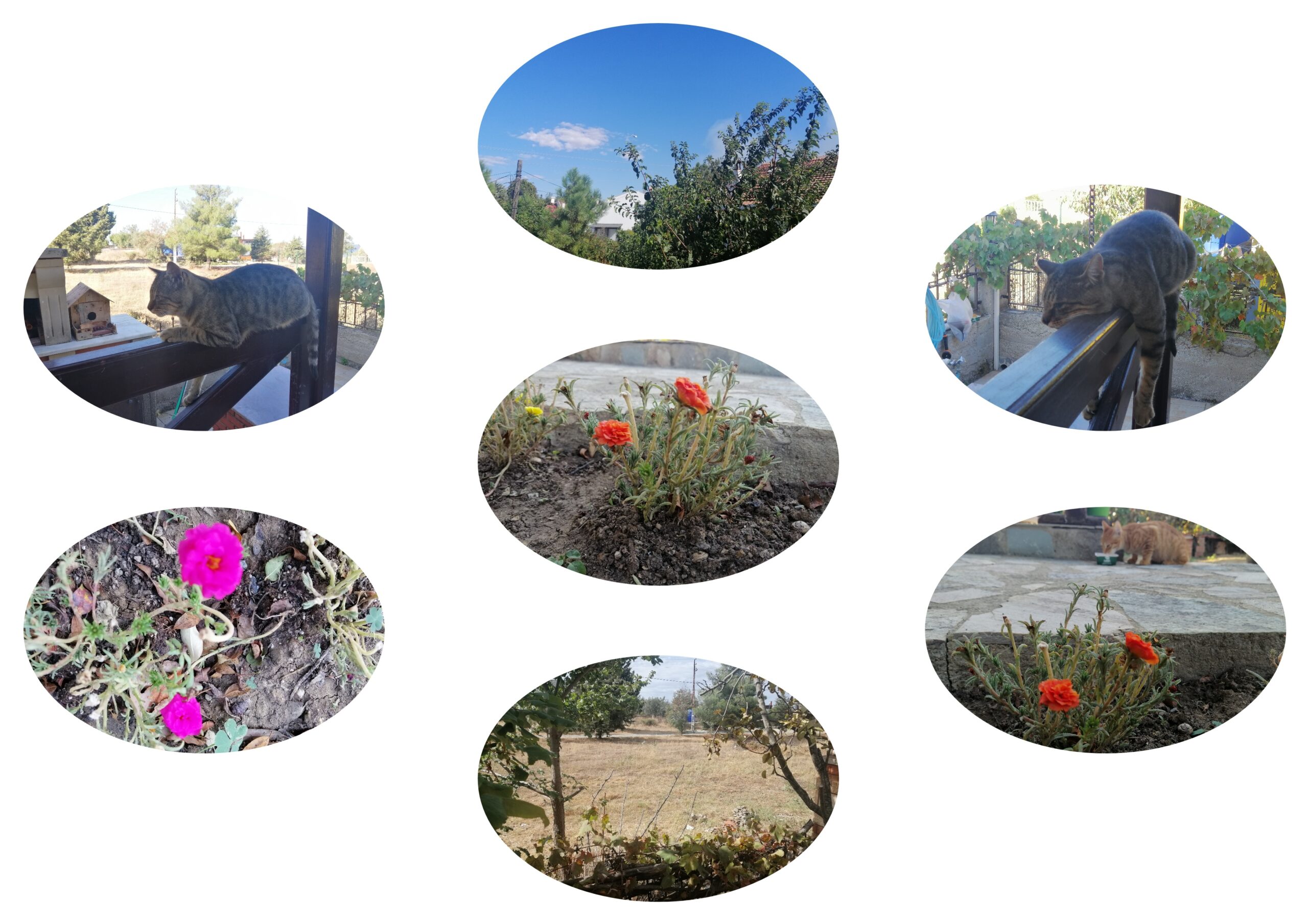 HAFTA 39: 22.09.2025~28.09.2025