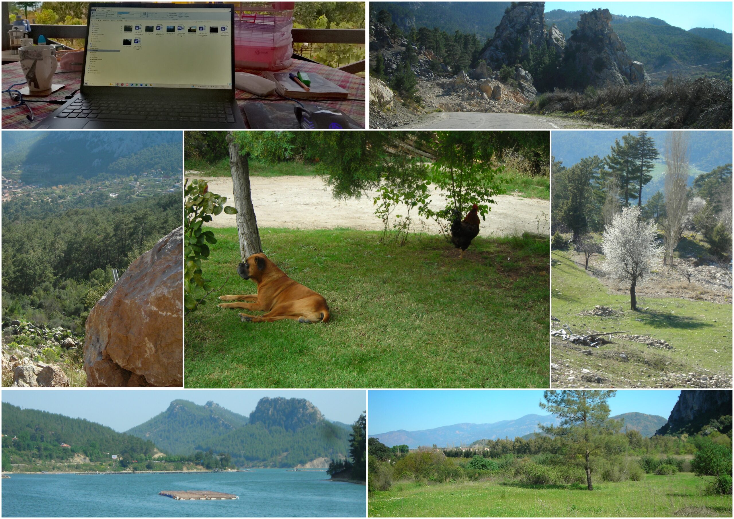 HAFTA 46: 10.11.2025~16.11.2025