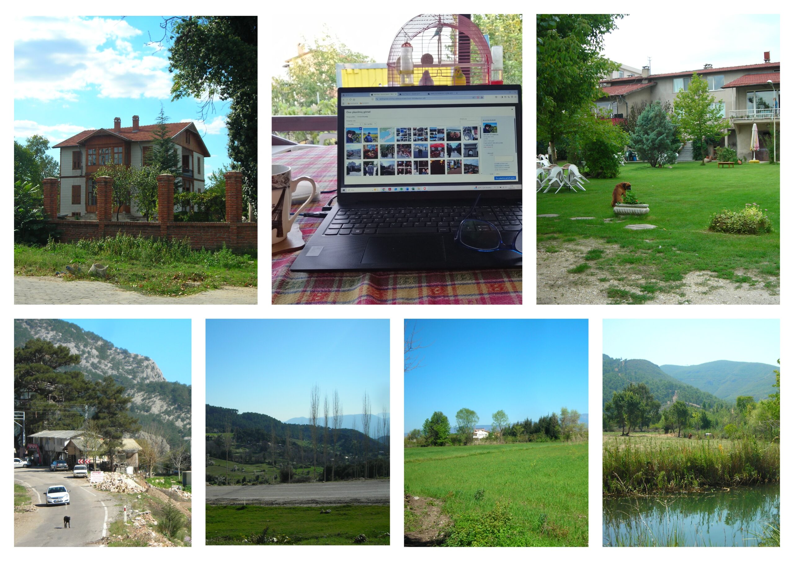 HAFTA 48: 24.11.2025~30.11.2025