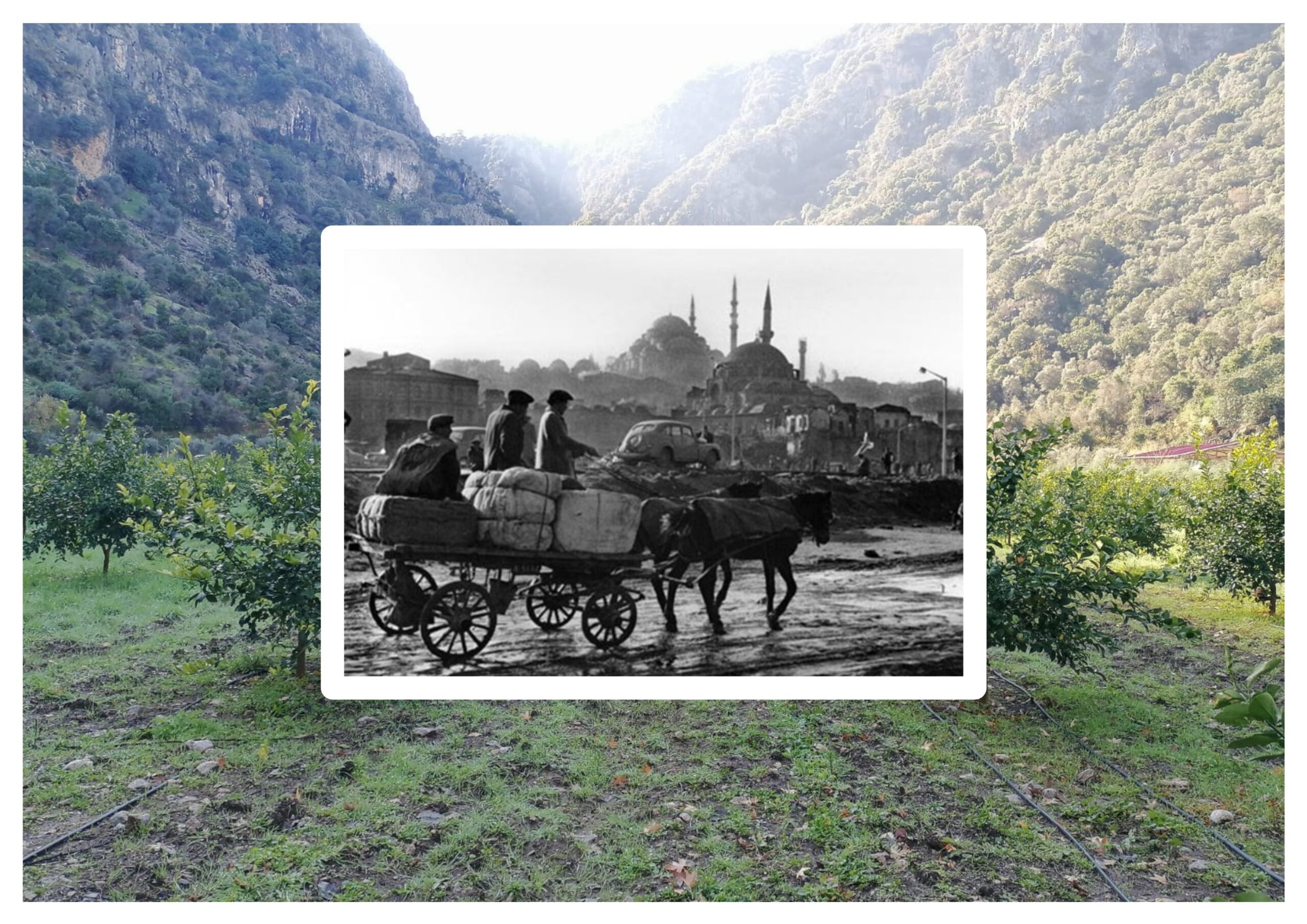 Ön Tekerlek Nereye Giderse Arka Tekerler de Oraya