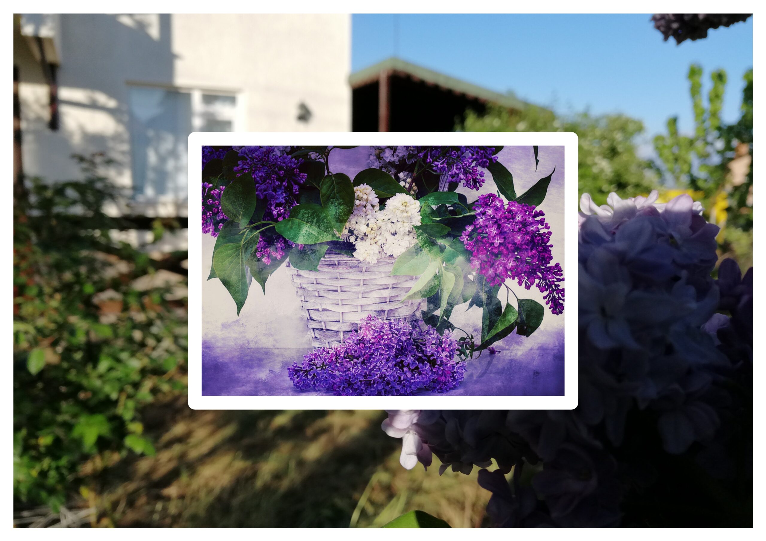 Kilitli Günlük: Mayıs 1974