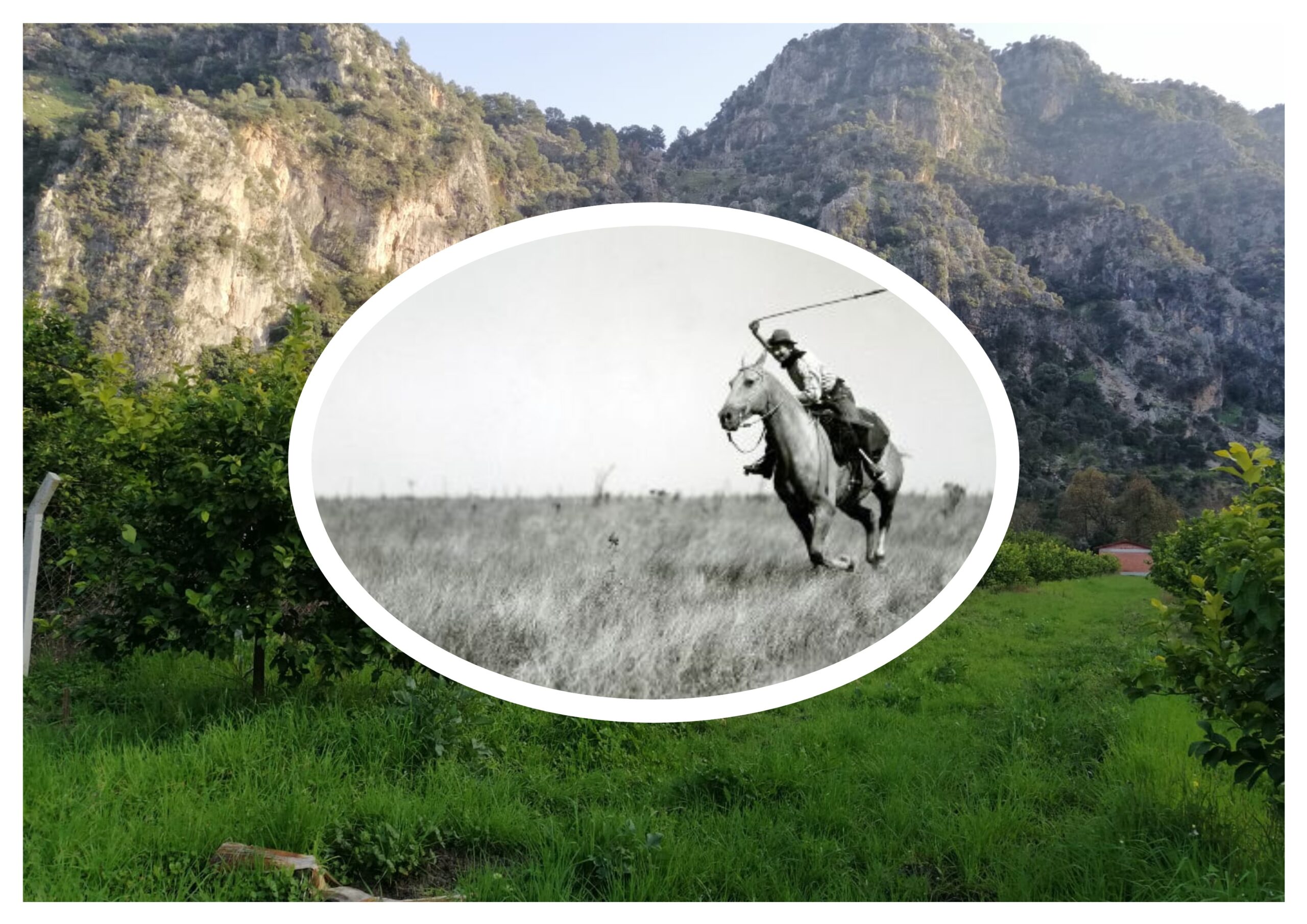 Savulun Bre, Malkoçoğlu Değil Hırgız Aydın Geliyoo!