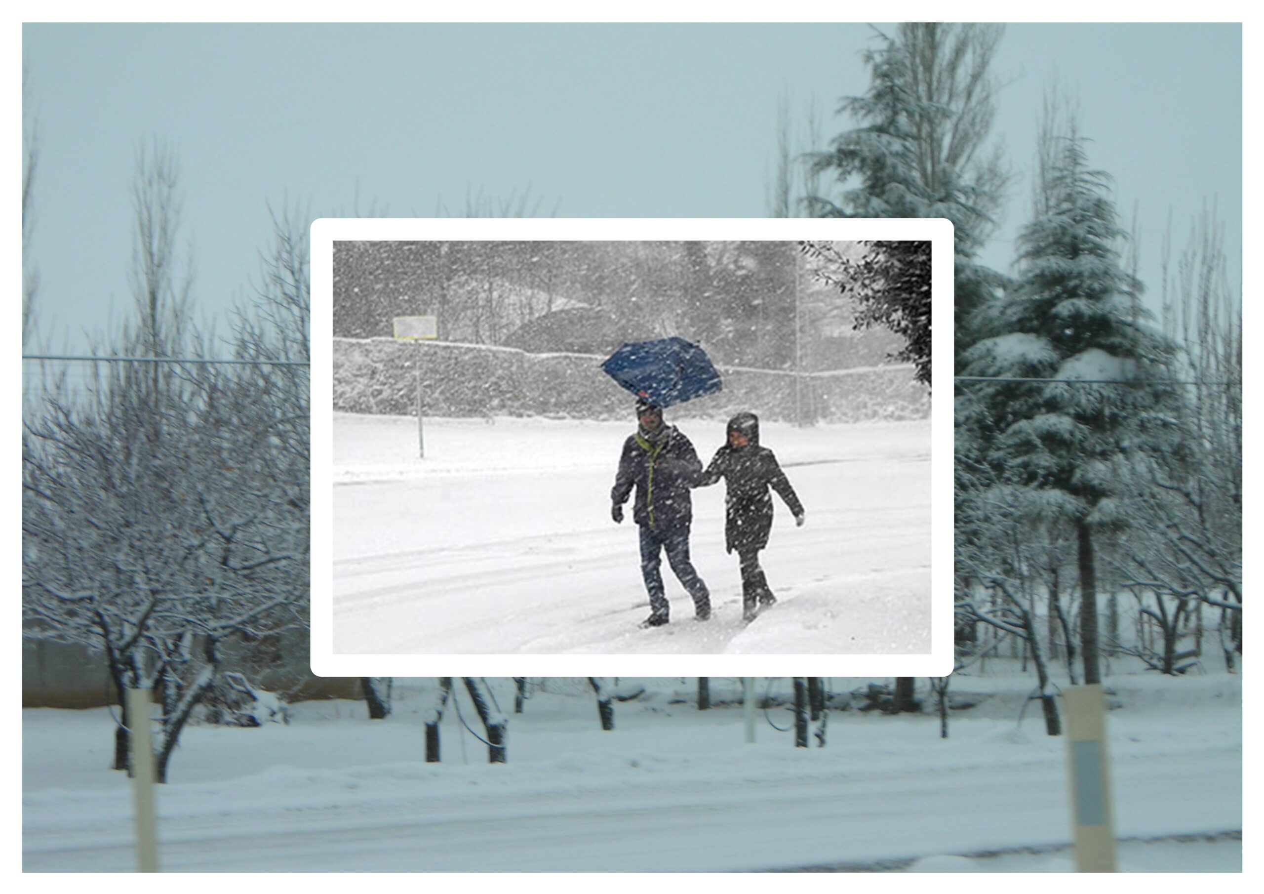 Burun Deliklerimizden Düzenli Olarak Giren O Şey