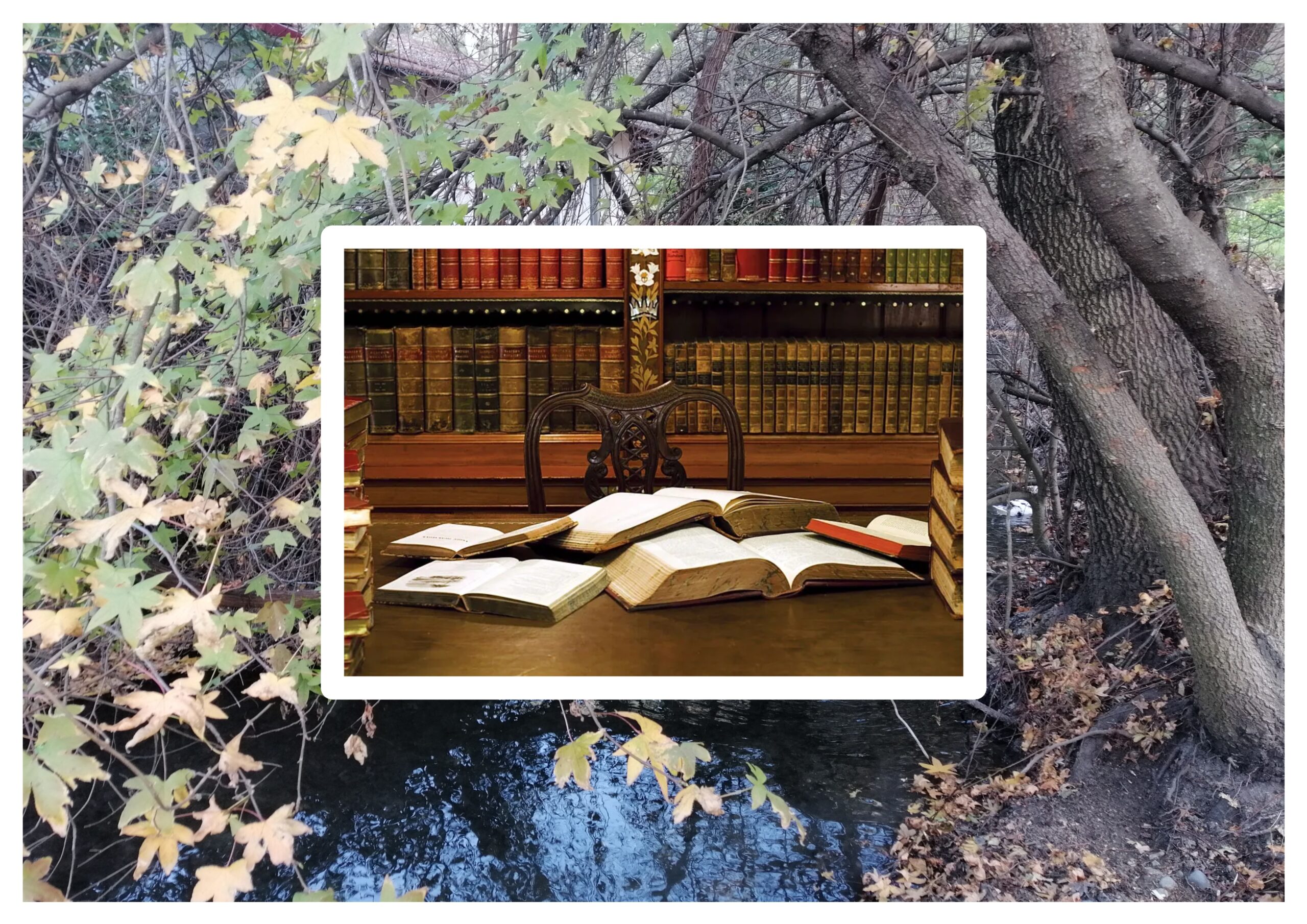 “Son” YDA’nın Her Cildinin Etkin Bir Sözcüğüdür