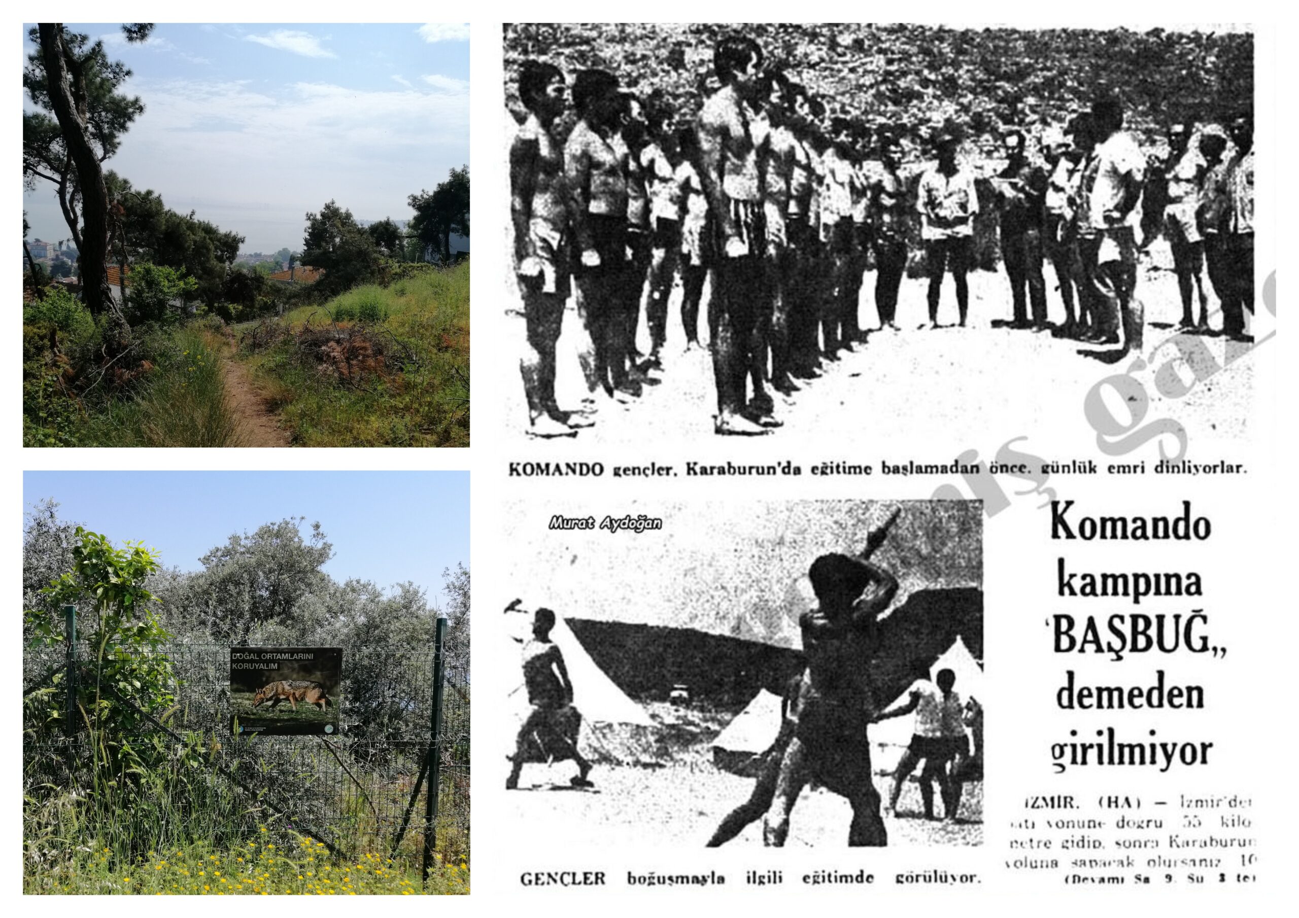 EK-86: Komando Kampları