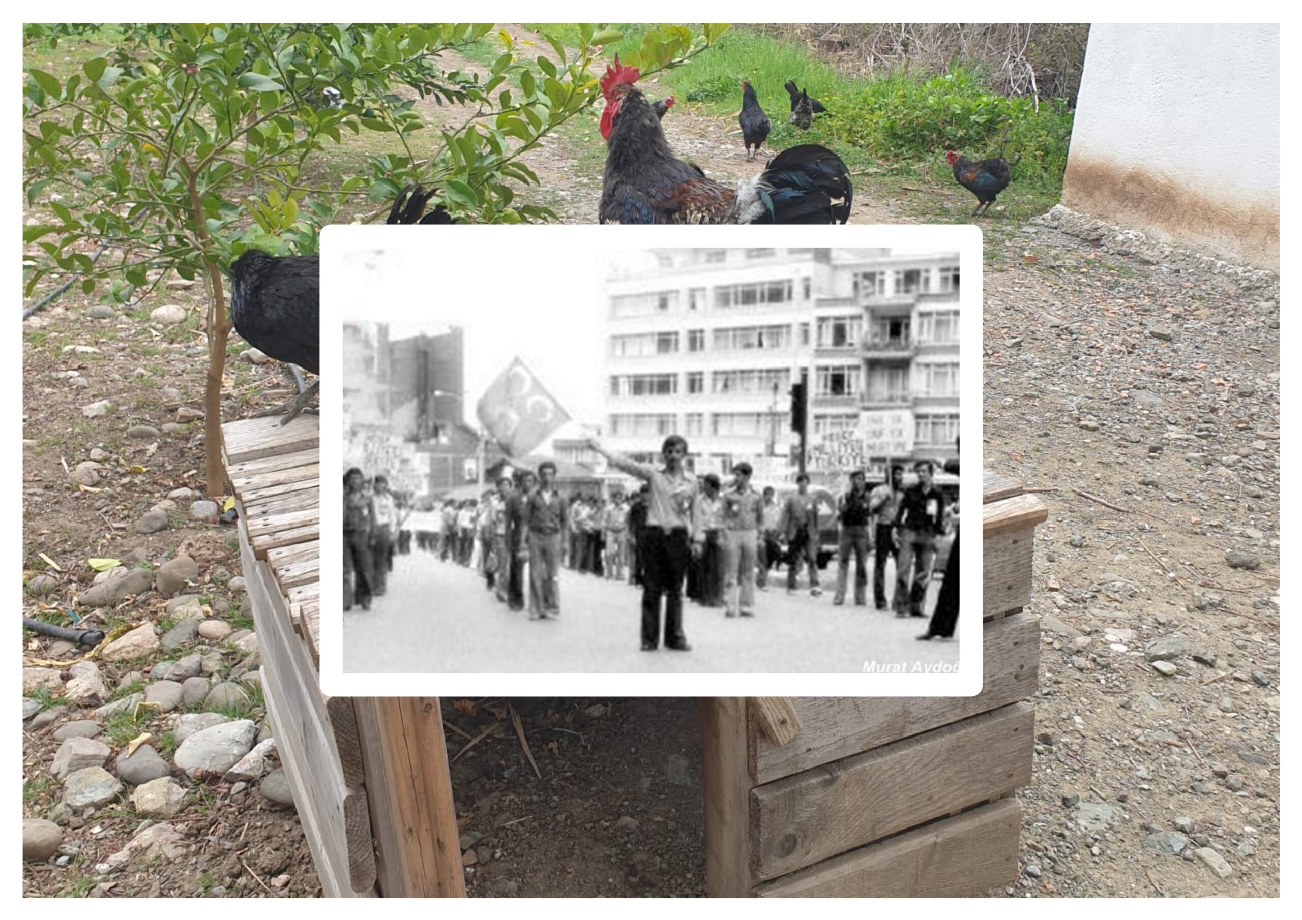 EK-87: Aşırı Sağ Sokağa İniyor