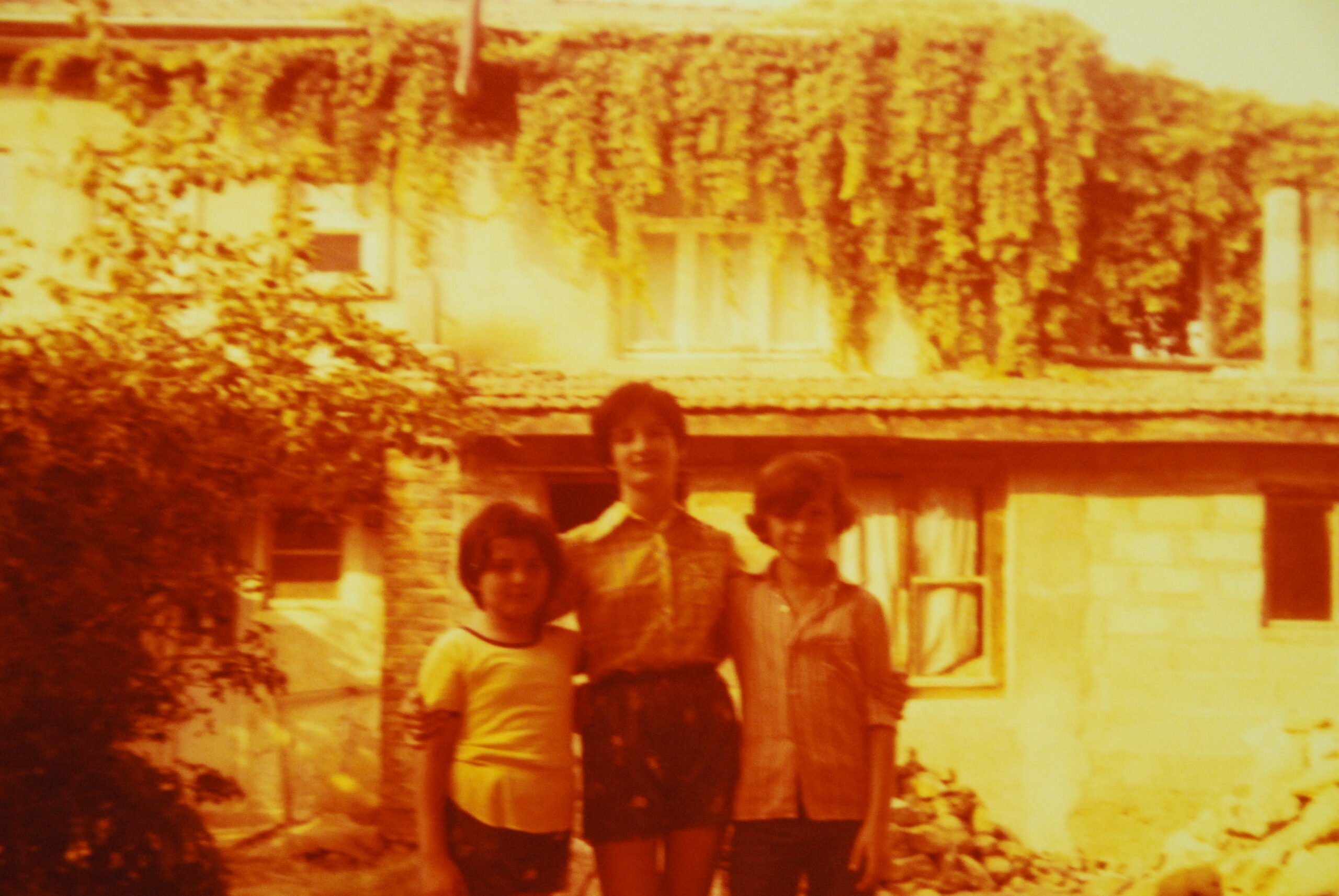 Türünün Tek Örneğidir