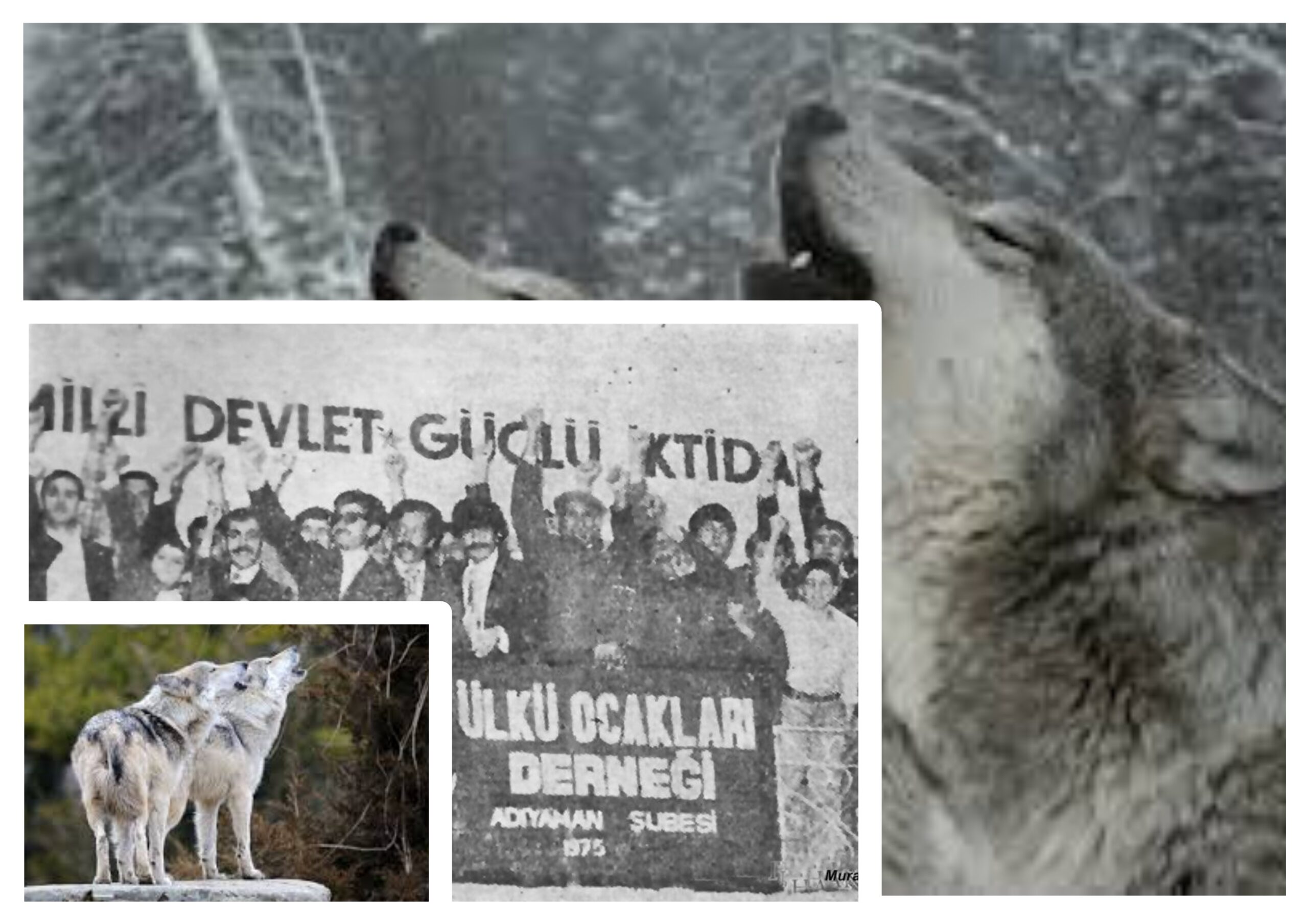 EK-94: Ülkücü Harekette Medya İletişim Anlayışı