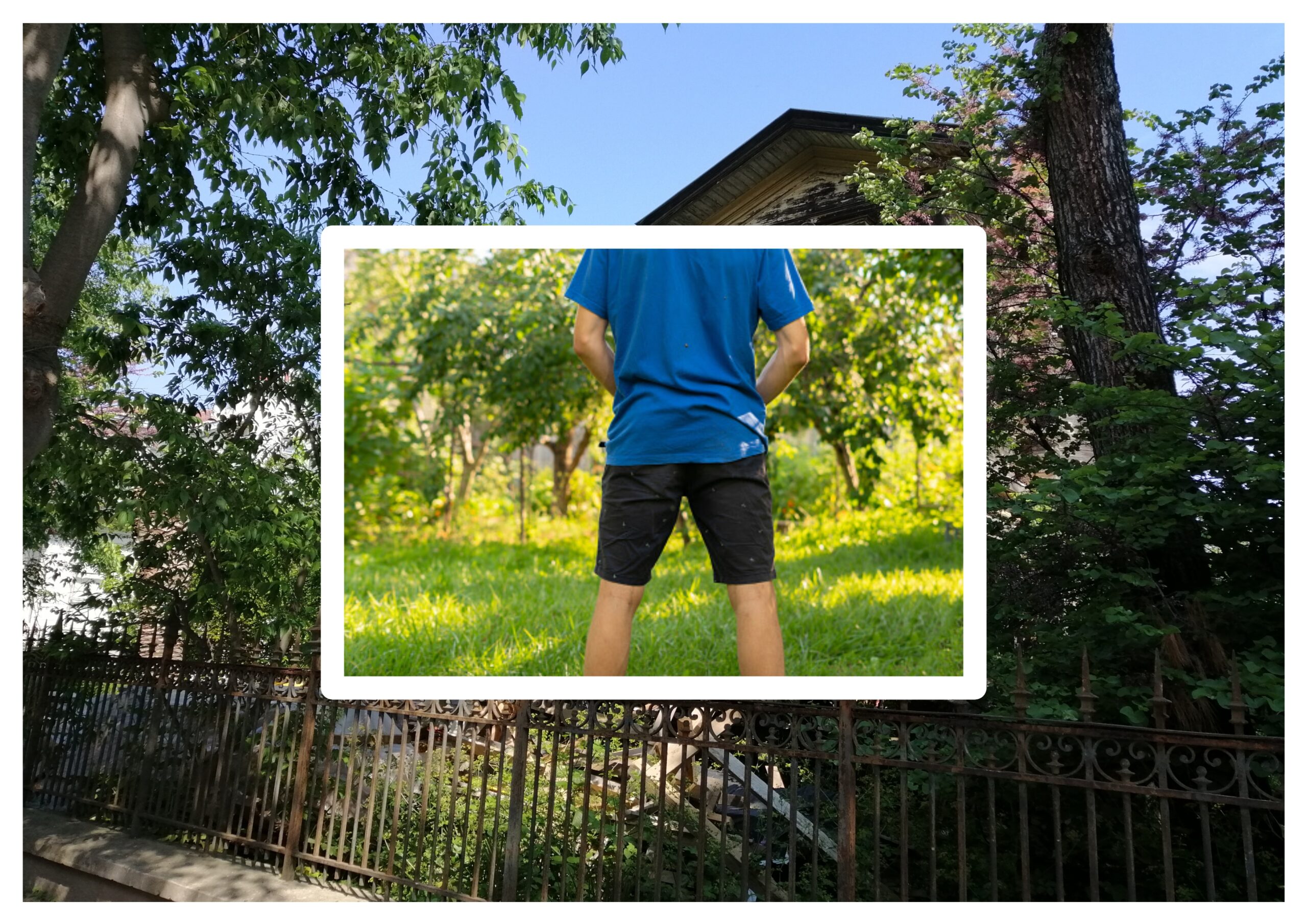 İncir Ağacını Suladığımda İn Cin Top Oynuyordu