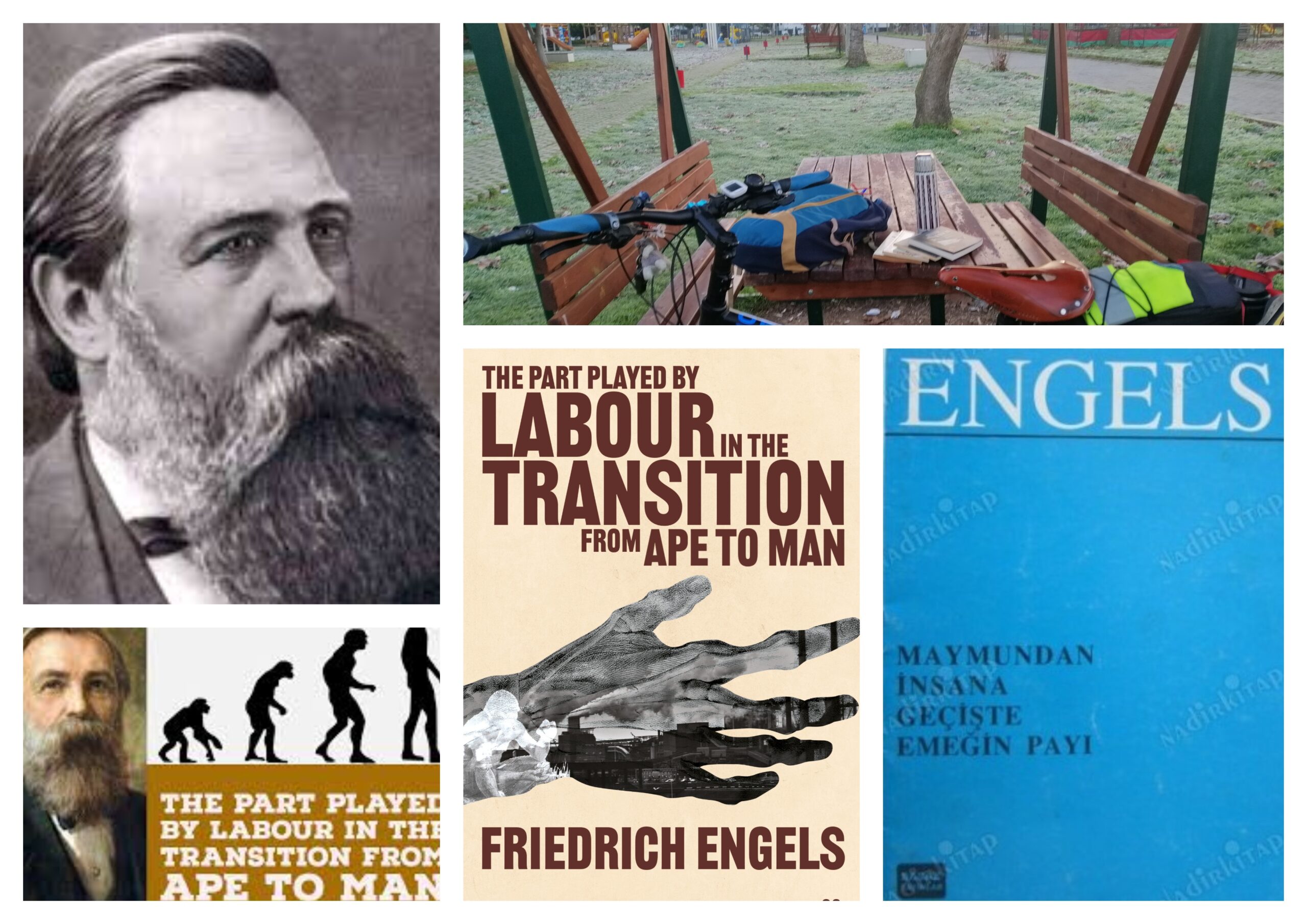 🚲&📖 Friedrich Engels “Maymundan İnsana Geçişte Emeğin Payı”