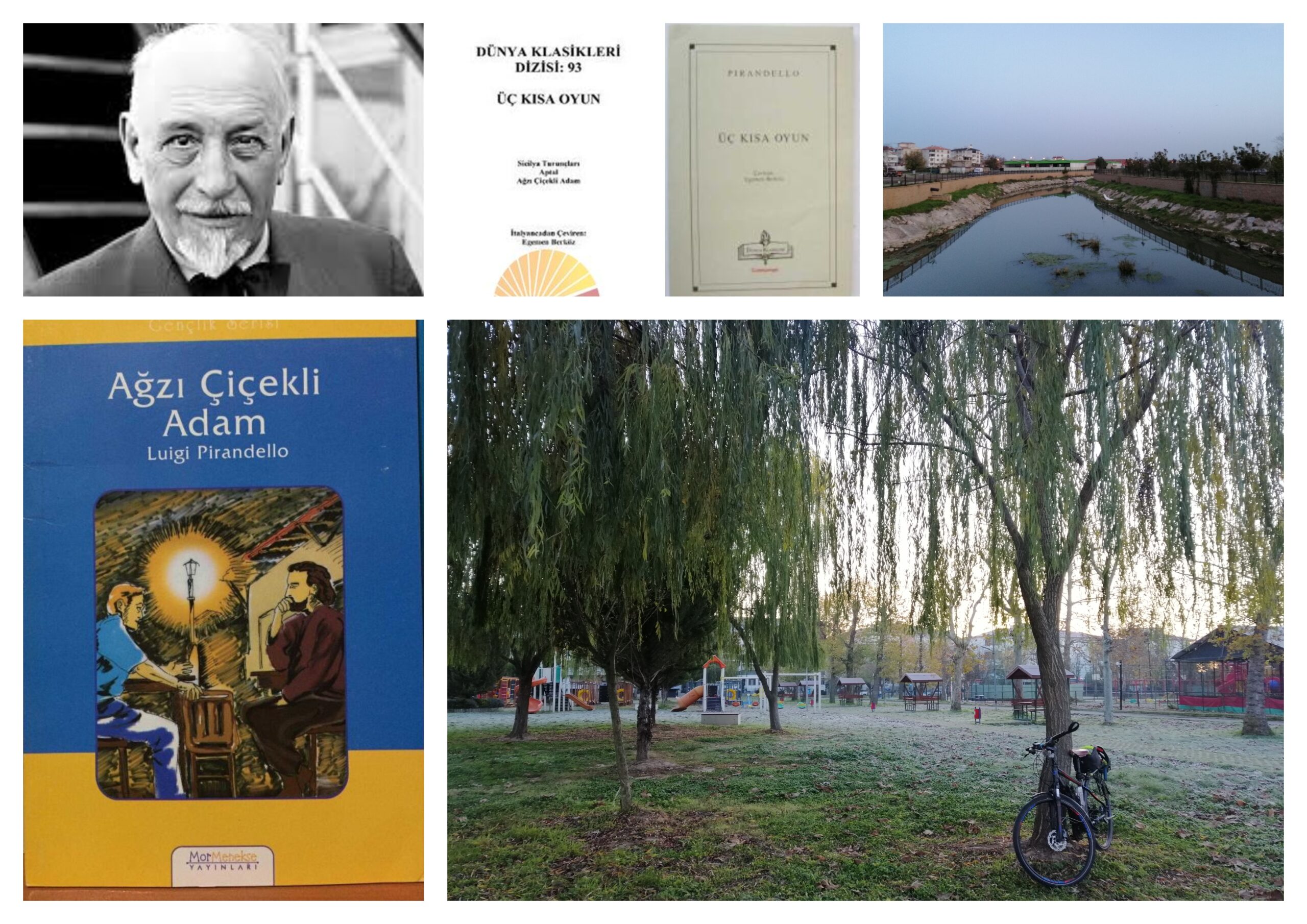 🚲&📖 Luigi Pirandello “Üç Kısa Oyun: Ağzı Çiçekli Adam”