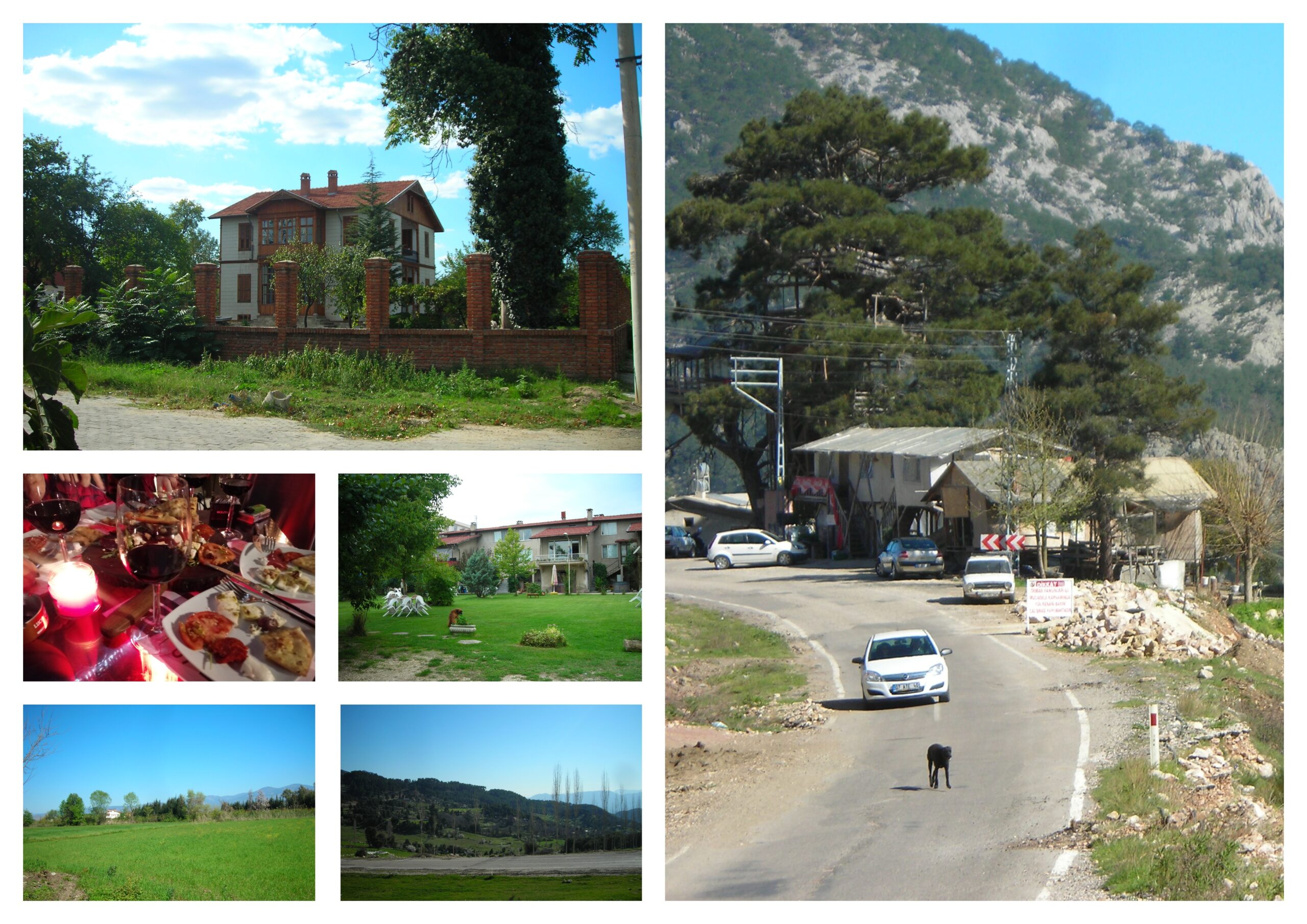 HAFTA 50: 08.12.2025~14.12.2025