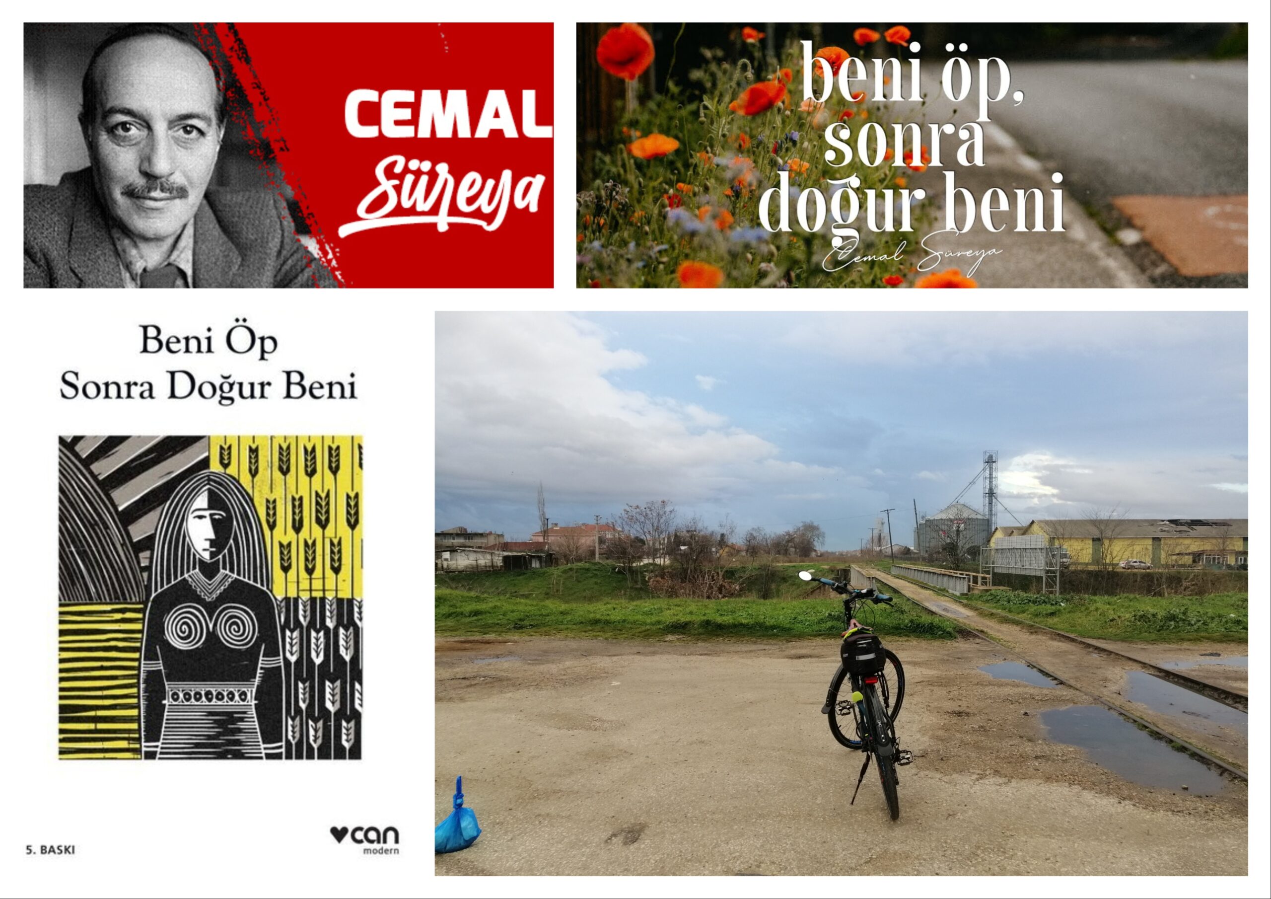 🚲&📖 Cemal Süreya “Beni Öp Sonra Doğur Beni”