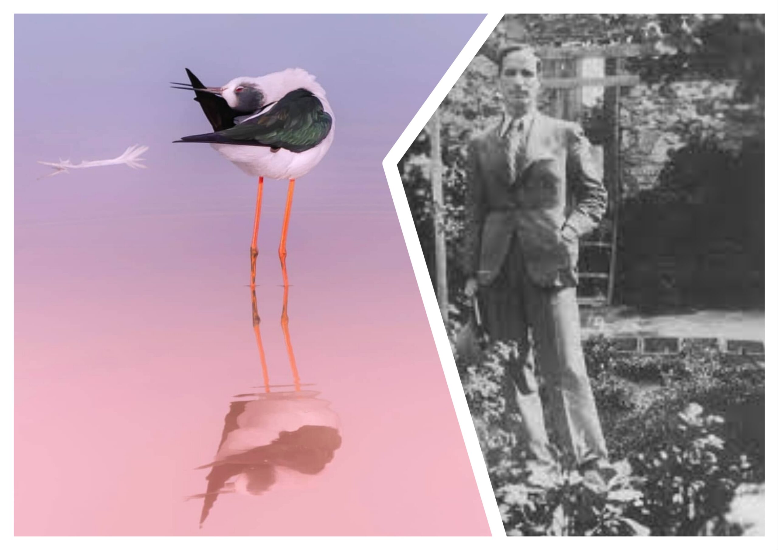 EK-103: Tarihin Seyri İçinde Bölünmeler (1947-1951)